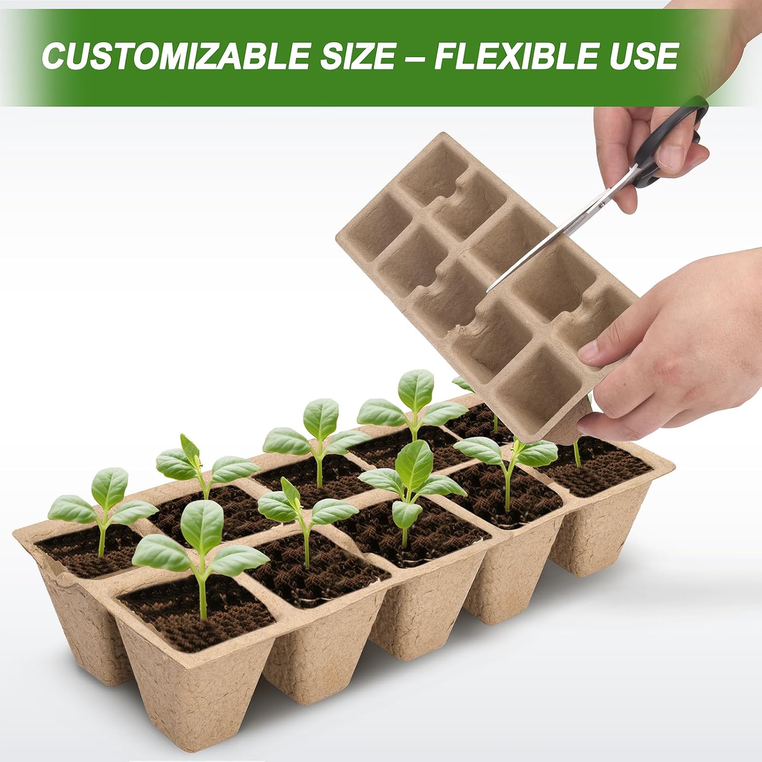 200 Cells Peat Pots, Seed Starter Trays Planting Trays for Seedlings, 