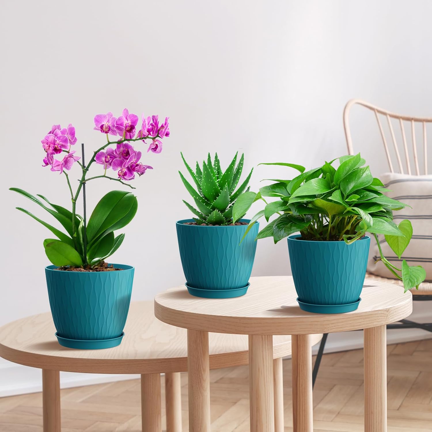 6 inch Plant Pots, 5 Pack Flower Pots with Drainage Holes and Saucers 