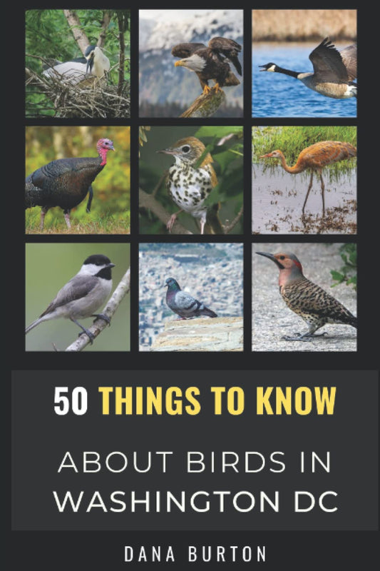 50 Things to Know About Birds in Washington District of Columbia: Bird