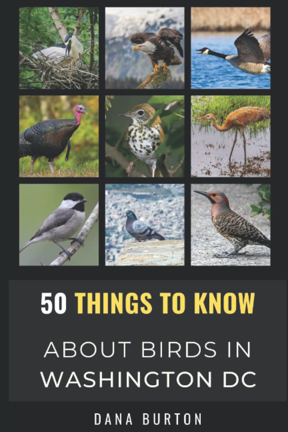 50 Things to Know About Birds in Washington District of Columbia: Birding in the Nation’s Capital (50 Things to Know About Birds and Birdwatching: ... identification tips, and regional bird books)