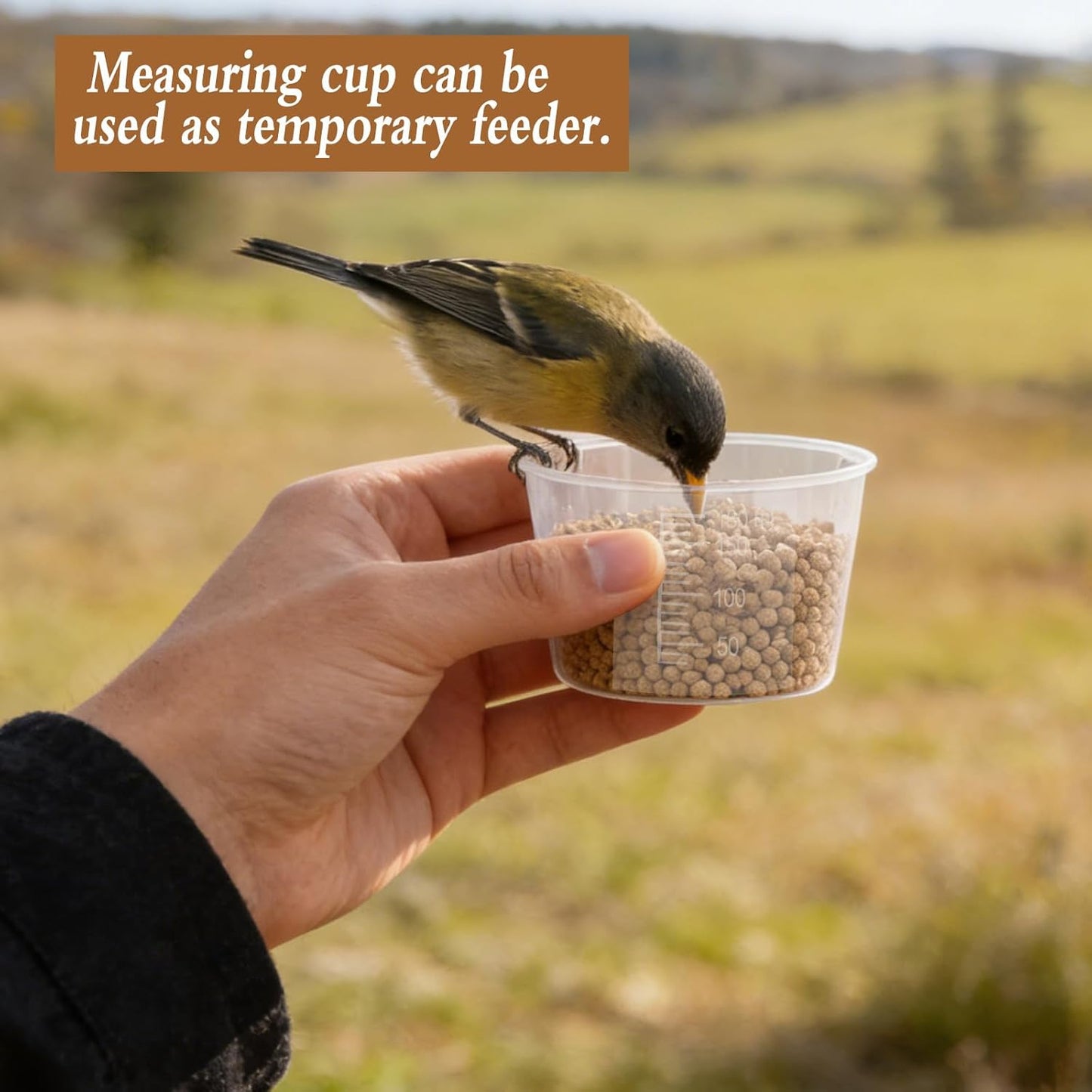 2 Pcs 3.17 Qt/3 L Bird Seed Storage Container Airtight- Portable Plast