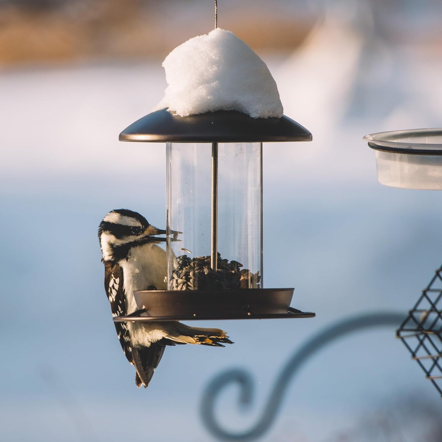 Metal Bird Feeder for Outside Hanging,Wild Bird Feeders for Cardinal, Large Roof and Tray - 6 Port