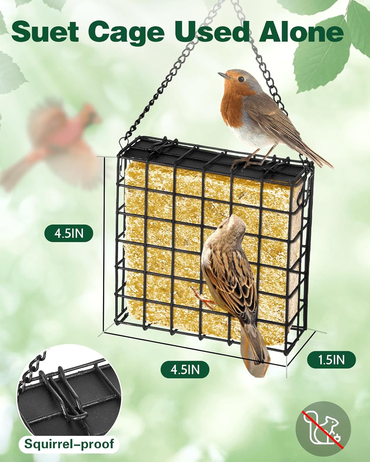 Bird Feeders for Outdoors Hanging - Metal Bird Feeder with Double Suet