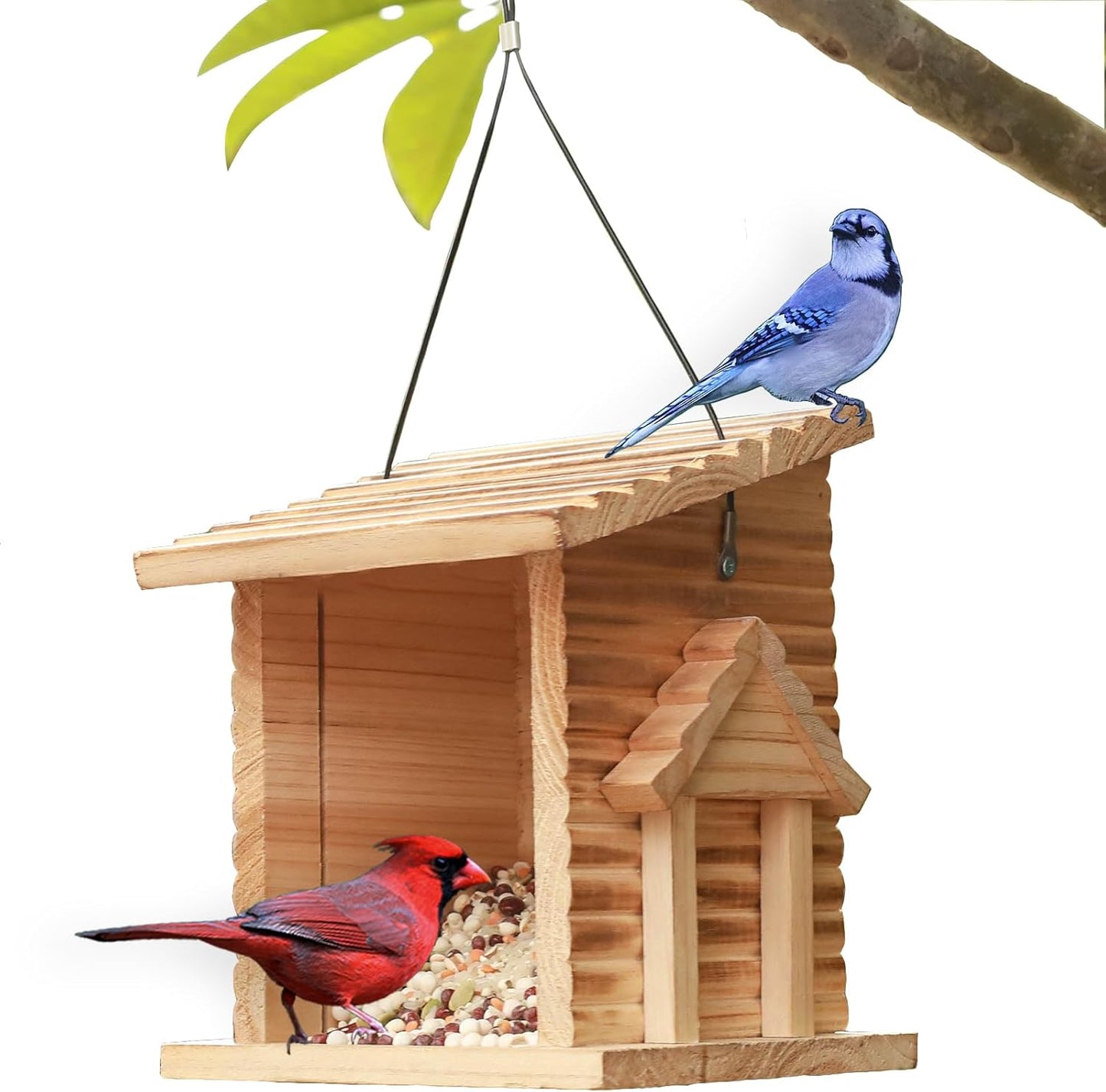 STARSWR Bird Feeder for Outdoor,Outside Hanging Bird Feeder - Mealworms Feeder Squirrel Proof, Bluebird House Feeder with Clear Acrylic Window - Perfect Bird Feeders for Outside