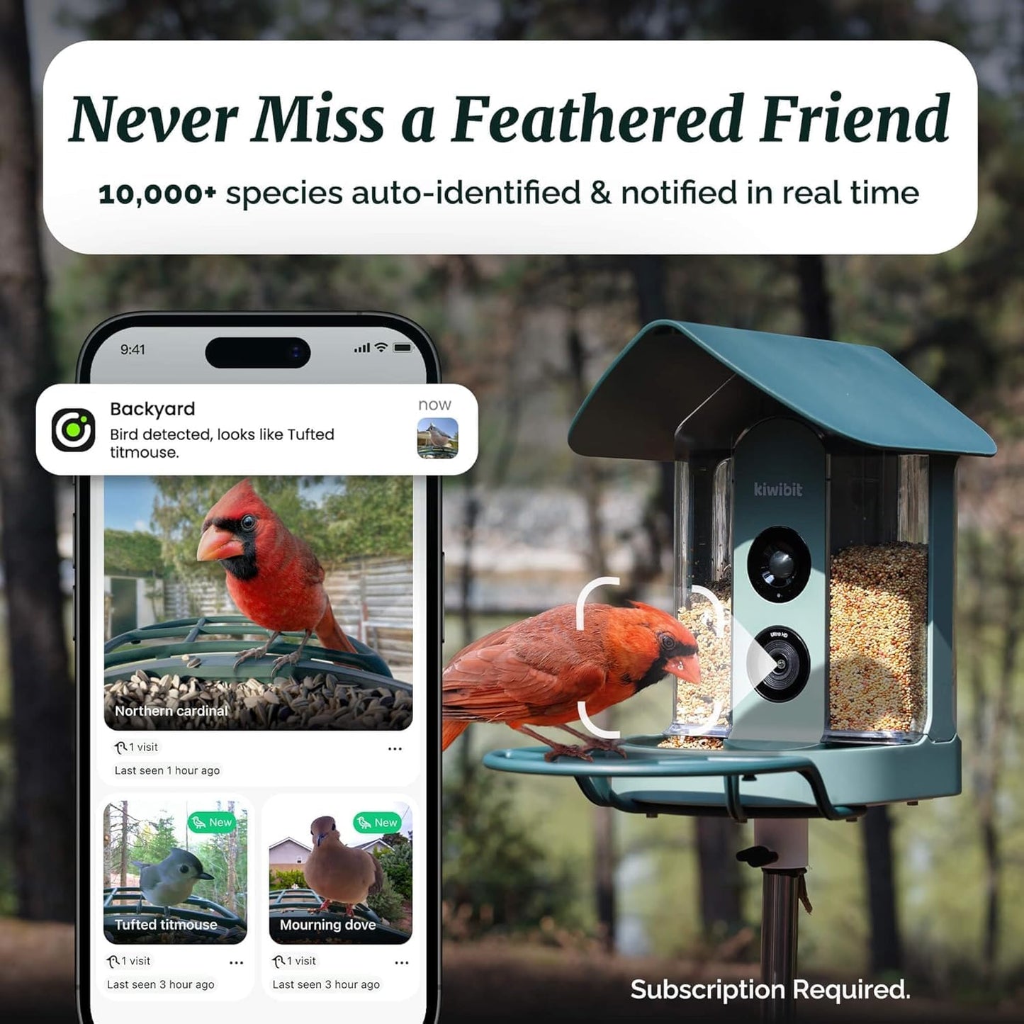 Smart Bird Feeder 4K AI Camera With Solar Panel For Outdoors, Bird Species Identification, 8MP Photos, 4K Video Livestream, Real-Time Bird Alerts, Birdwatching Gifts For Bird Lovers, Sage Pine