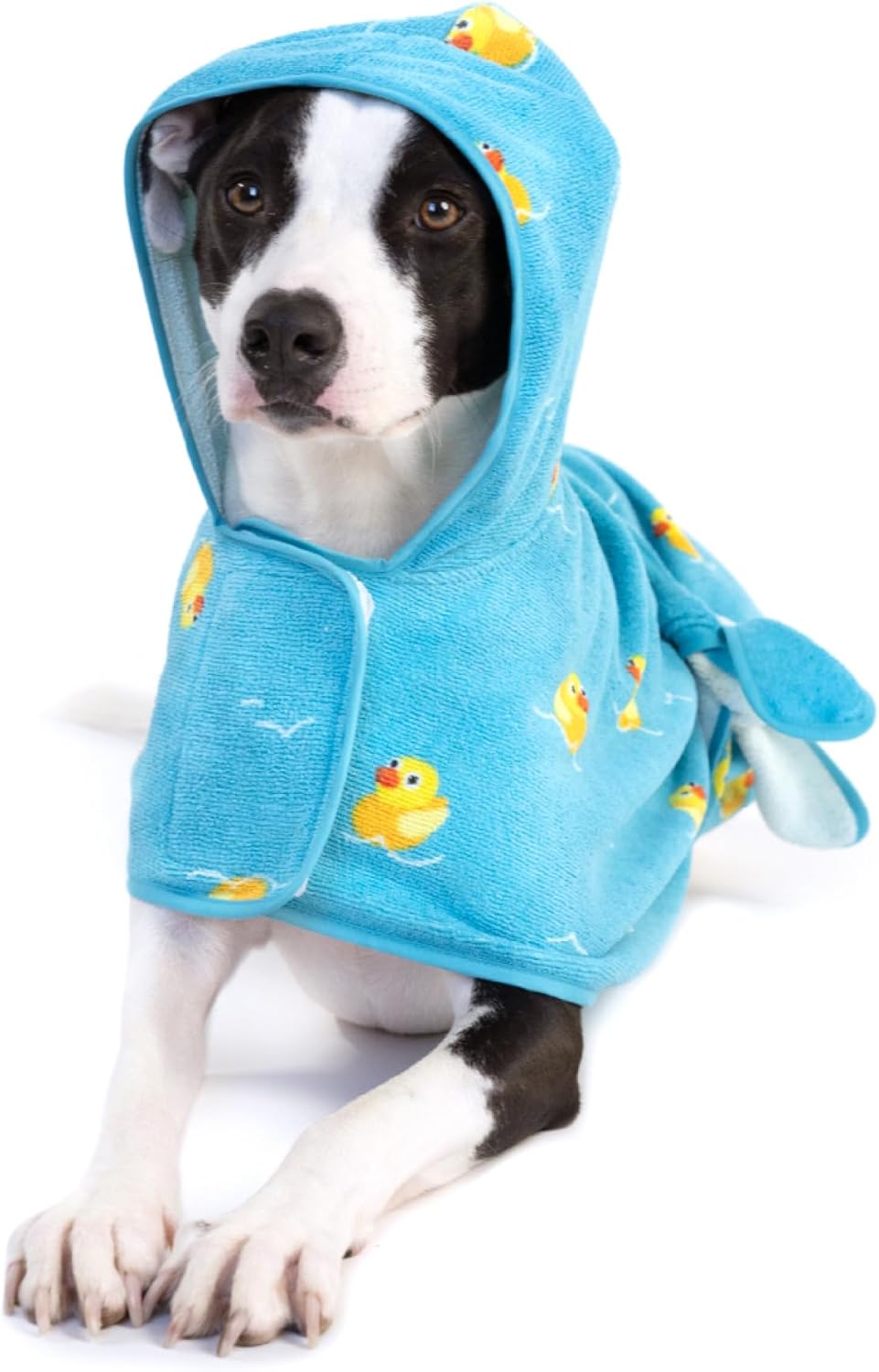 Barkbox Dog Bathrobe Fast Drying with Hook and Loop Closure & Wrap Tie