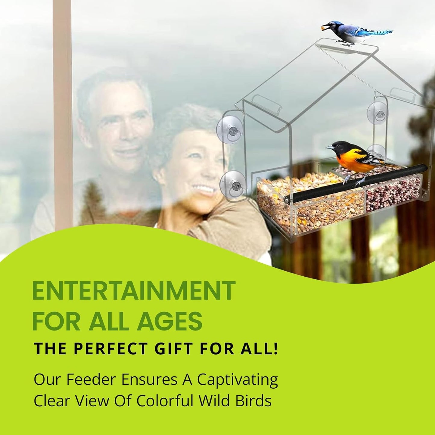 Nature Gear Window Bird Feeder with Strong Suction Cups, Clear Acrylic