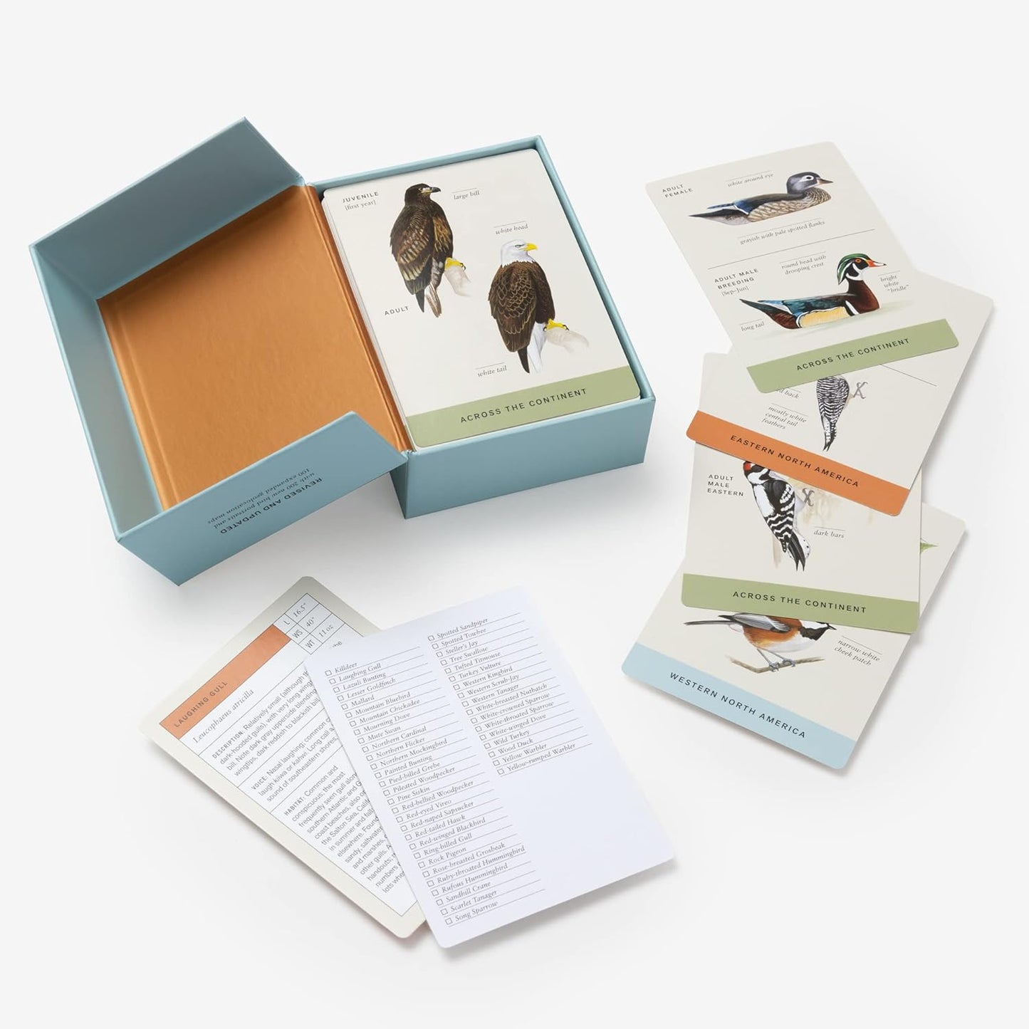 Sibley Backyard Birding Flashcards, Revised and Updated: 100 Common Birds of Eastern and Western North America (Sibley Birds)