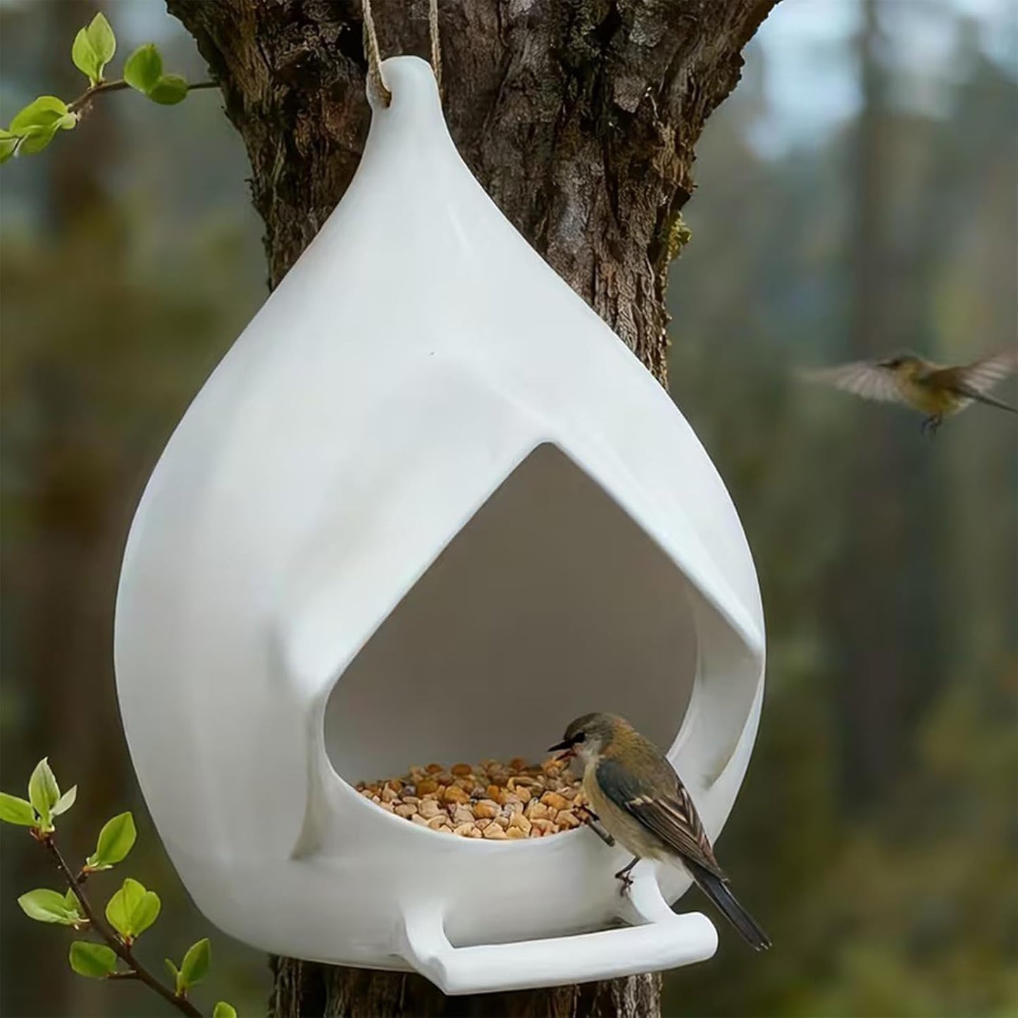 Hanging Bird Feeder, Large Capacity Weather-Resistant Plastic Feeder, Waterproof Wild Feeding Shelter with Hooks, Vibrant Color Attracts Wild Birds for Outdoor Backyard Balcony