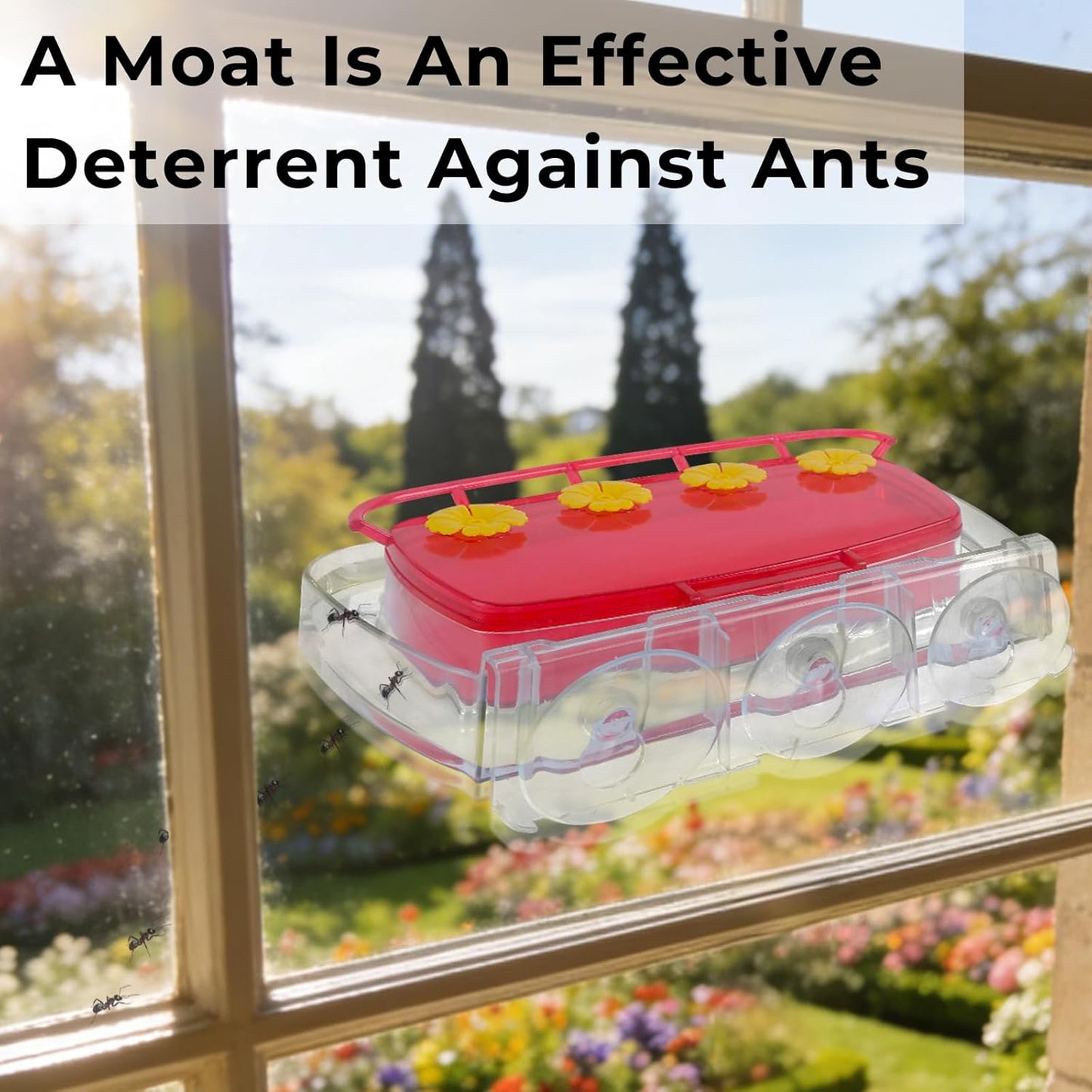 2 Pack Window Hummingbird Feeder,Strong Suction Cup Hummingbird Feeder with 4 Feeding Ports,Built-in Moat,Easy to Clean and Refill Plastic Humming Bird Feeder,Gift for Bird Lovers(10oz, 2 Red)
