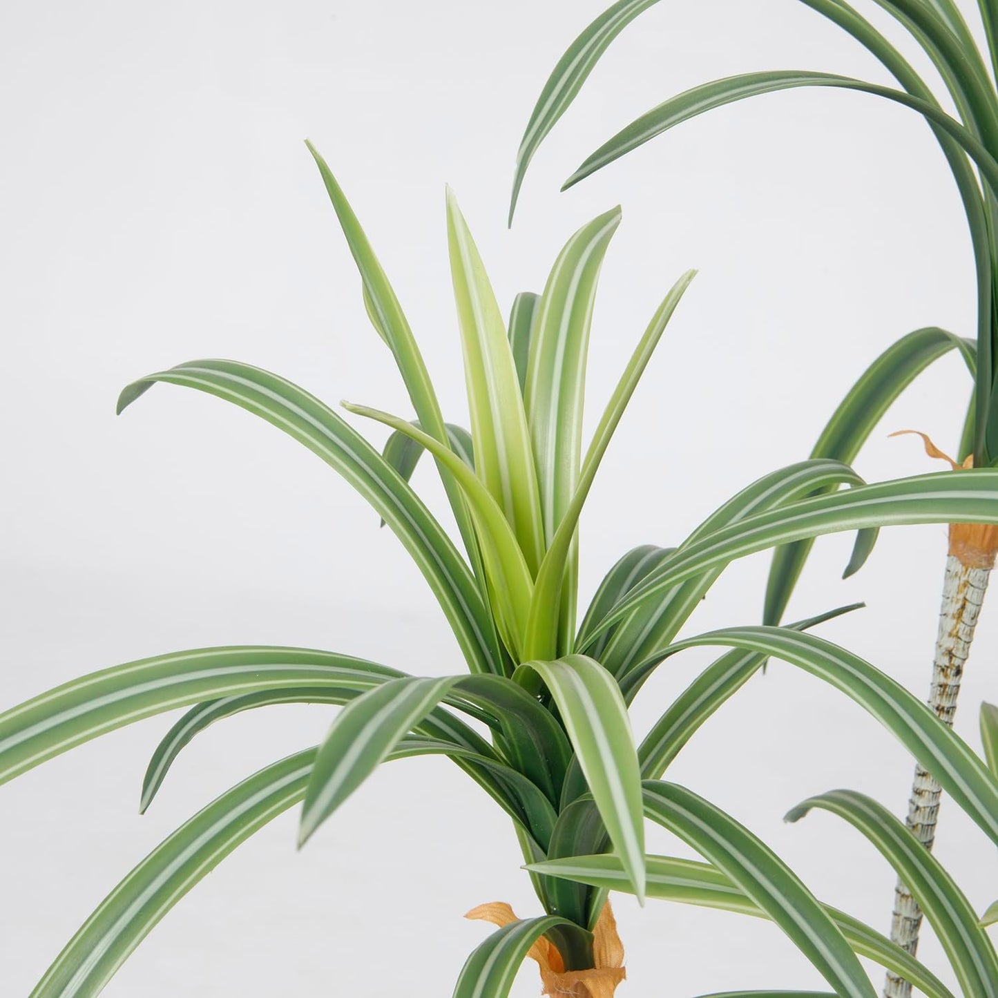 Vintage Home 38" Real Touch Artificial Dracaena in Modern Planter - Cu