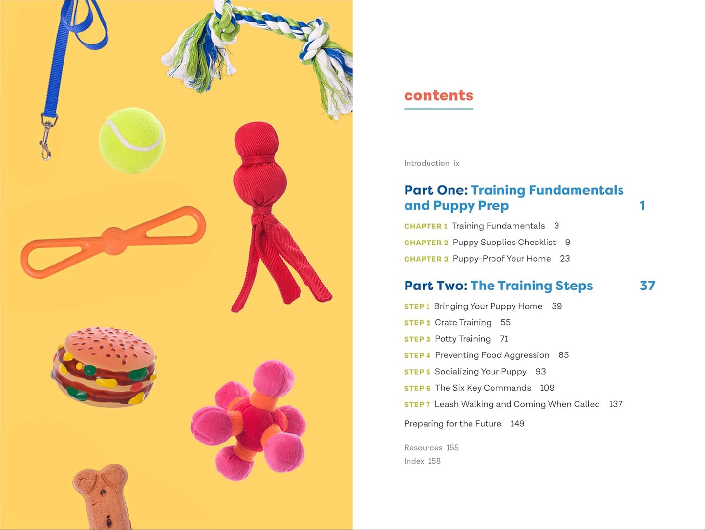 Puppy Training in 7 Easy Steps: Everything You Need to Know to Raise t