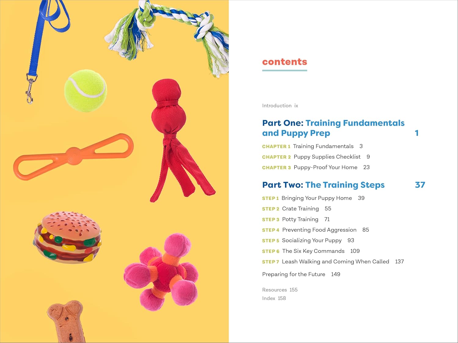 Puppy Training in 7 Easy Steps: Everything You Need to Know to Raise t