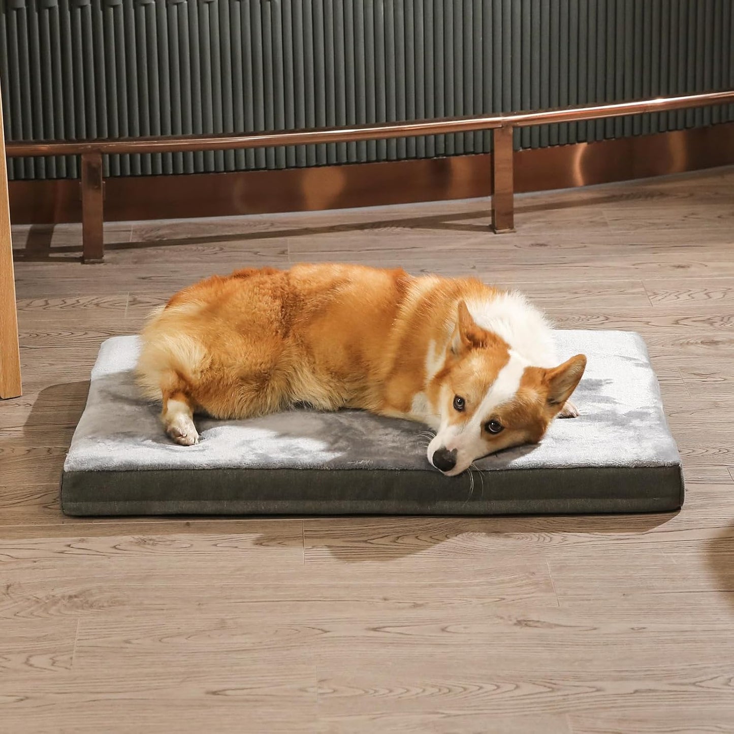 Amazon Basics Dog Bed with Cooling Gel Memory Foam, Machine Washable R