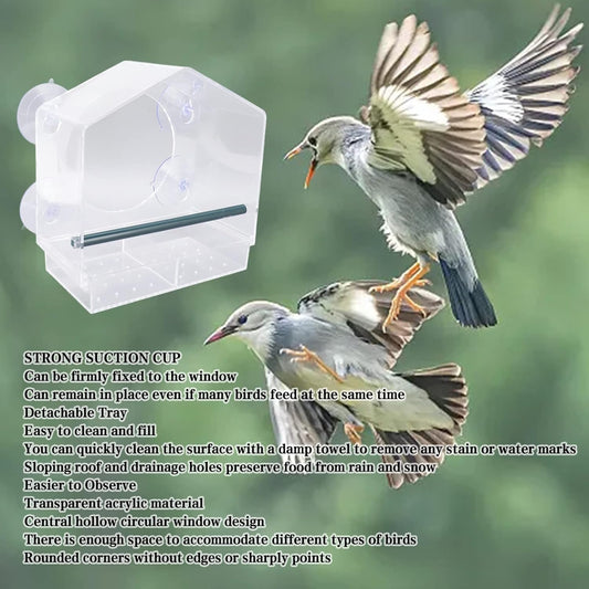 Pilipane Clear Acrylic Window Bird Feeder, Transparent Bird House with 4 Strong Suction Cups