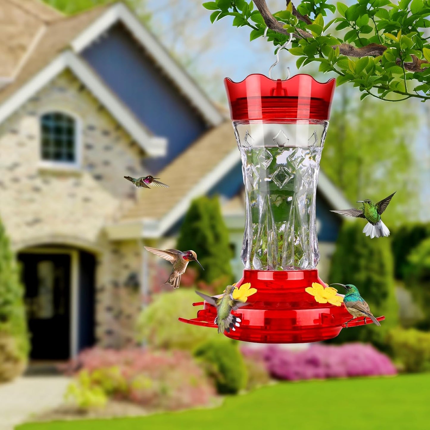 Hummingbird Feeders for Outdoors Hanging, BOLITE Glass Hummingbird Fee