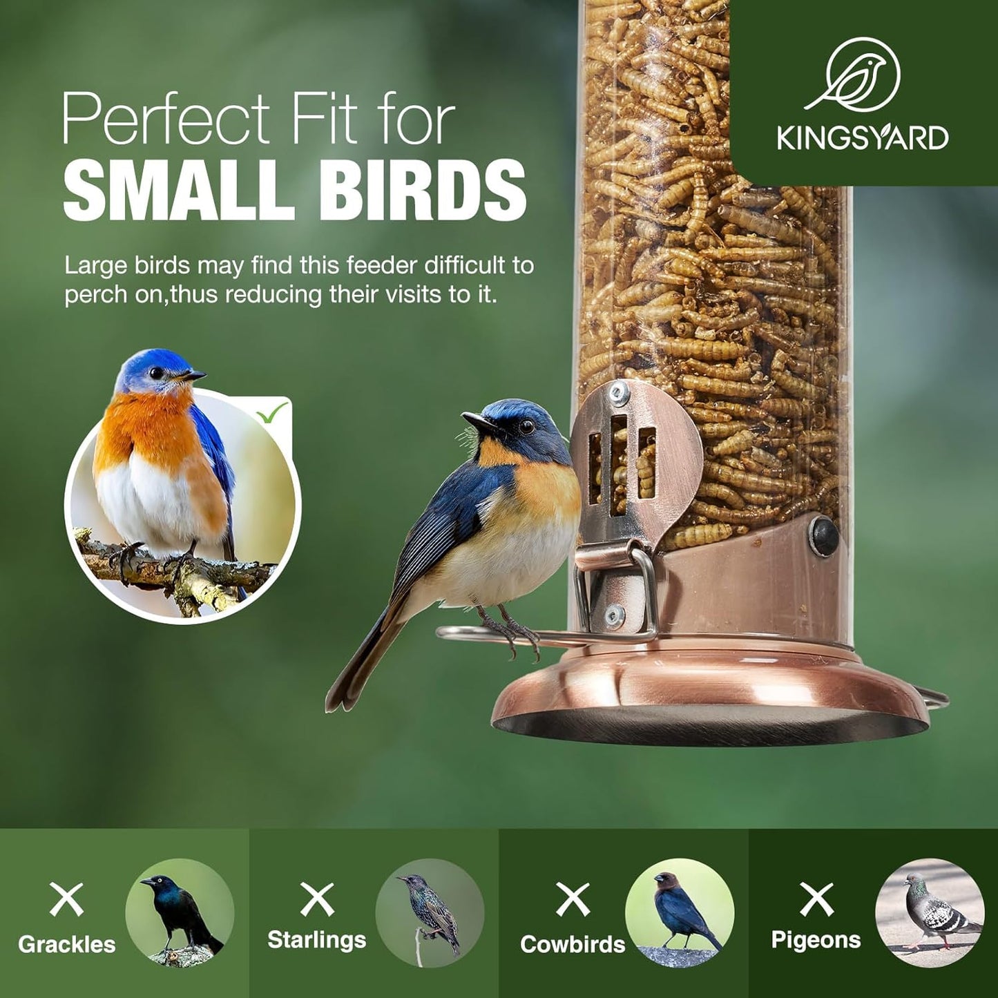 Kingsyard Upgraded Bluebird Feeder for Outdoors Hanging, Metal Mealworm Tube Bird Feeder with Widen Perch for Wild Birds, Squirrel Chew Proof, Easy to Refill & Clean(Copper)
