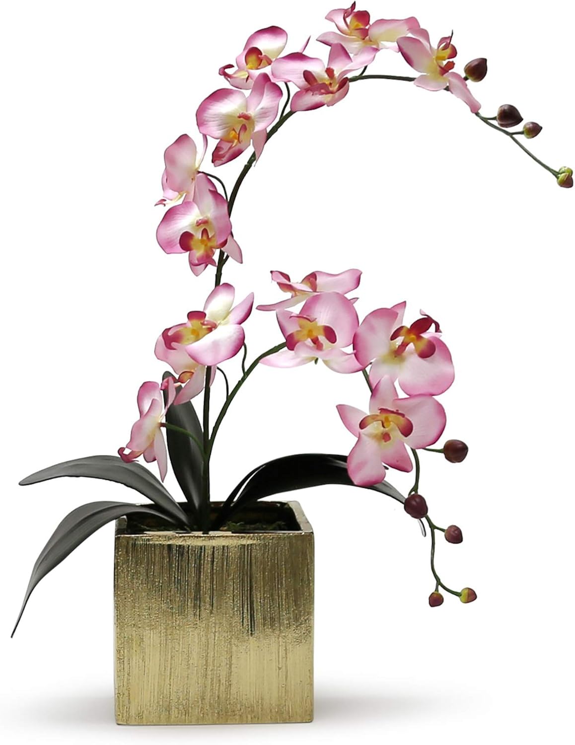 WGV Ceramic Cube Vase Width 4" Height 4" (Fits 3" Pot) Elegant Modern Block Square Floral Planter Terrarium Container Table Dresser for Event Accent Home Office Decor Gold Textured 1 Piece