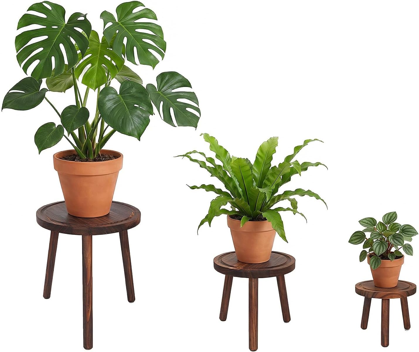 3-Pack Wood Plant Stands Indoor, Single Plant Stand for 6-12 Inch Pots