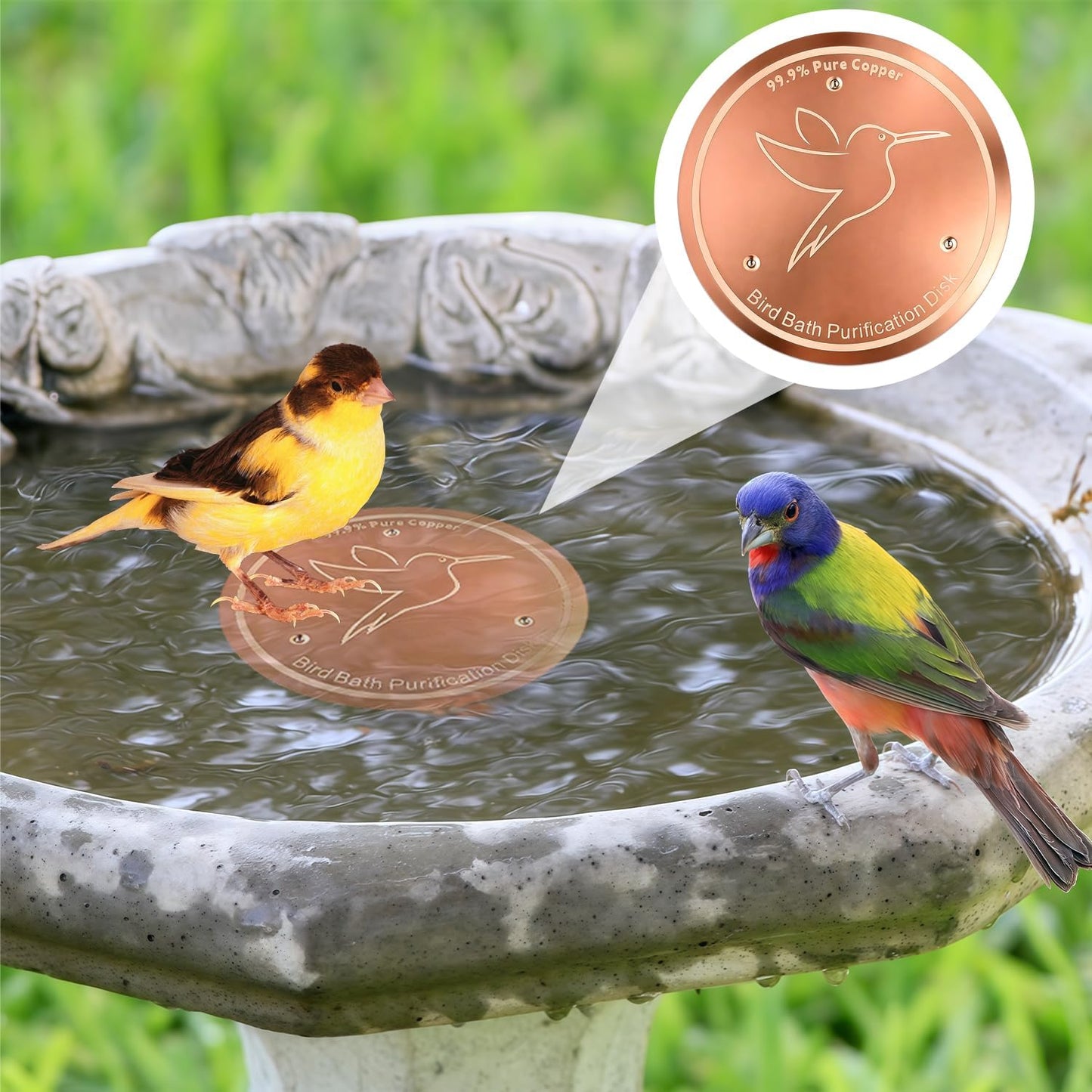 Bird Bath Copper Disk, Copper Disc for Bird Bath 99.99% Pure 0.6 mm Th