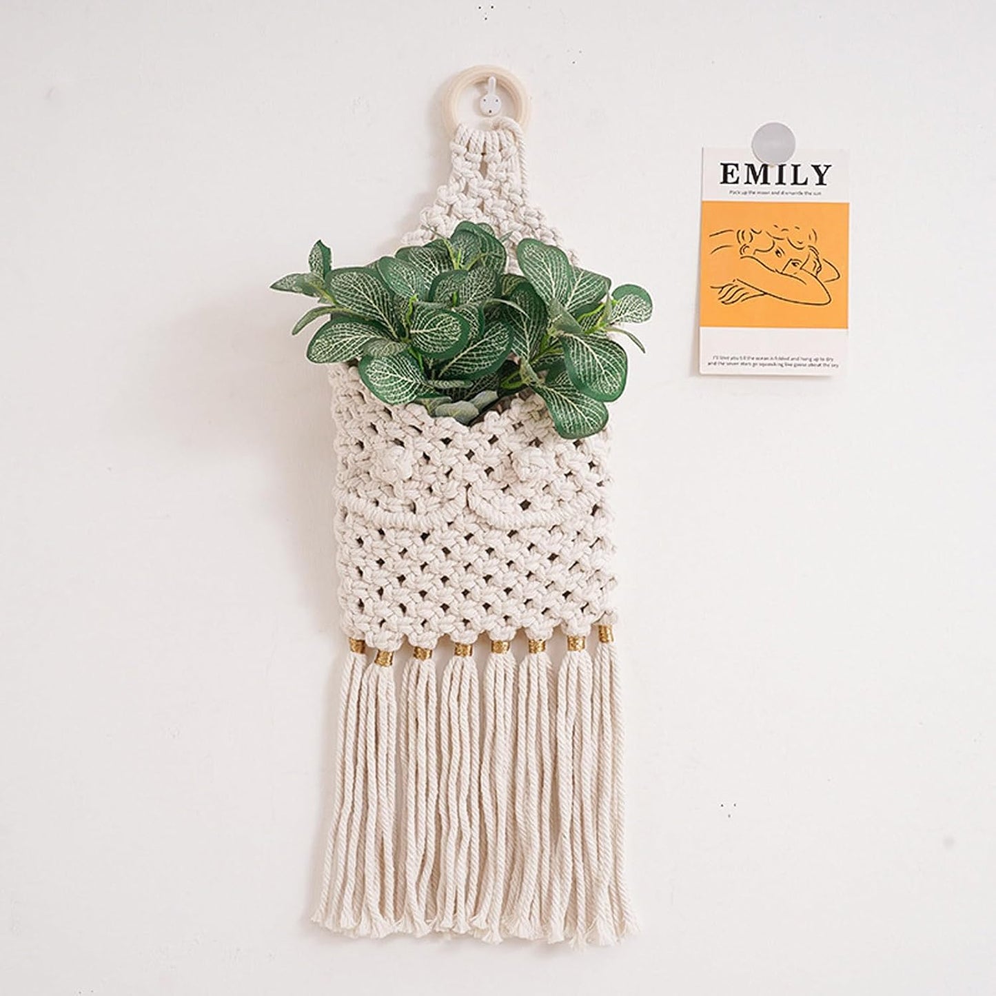 Plant Hanger Indoor Hanging-Planter Basket Wall Tapestry Decorative Fl