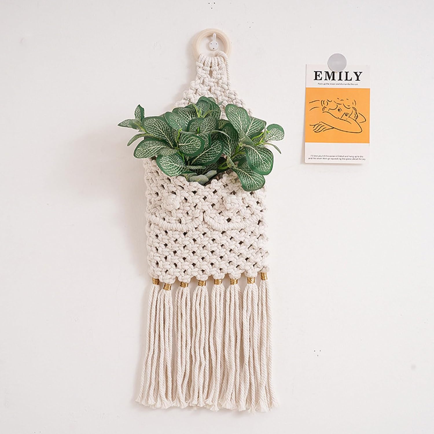 Plant Hanger Indoor Hanging-Planter Basket Wall Tapestry Decorative Fl