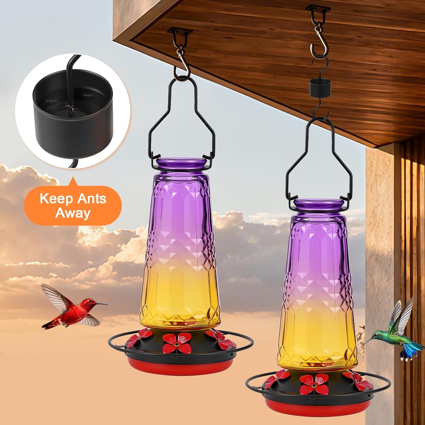Hummingbird Feeders for Outdoors Hanging, Glass Nectar Feeder with Ant Moat and 5 Bee Guard Feeding Ports, Leak Proof, 21 Ounces, Red (Purple)