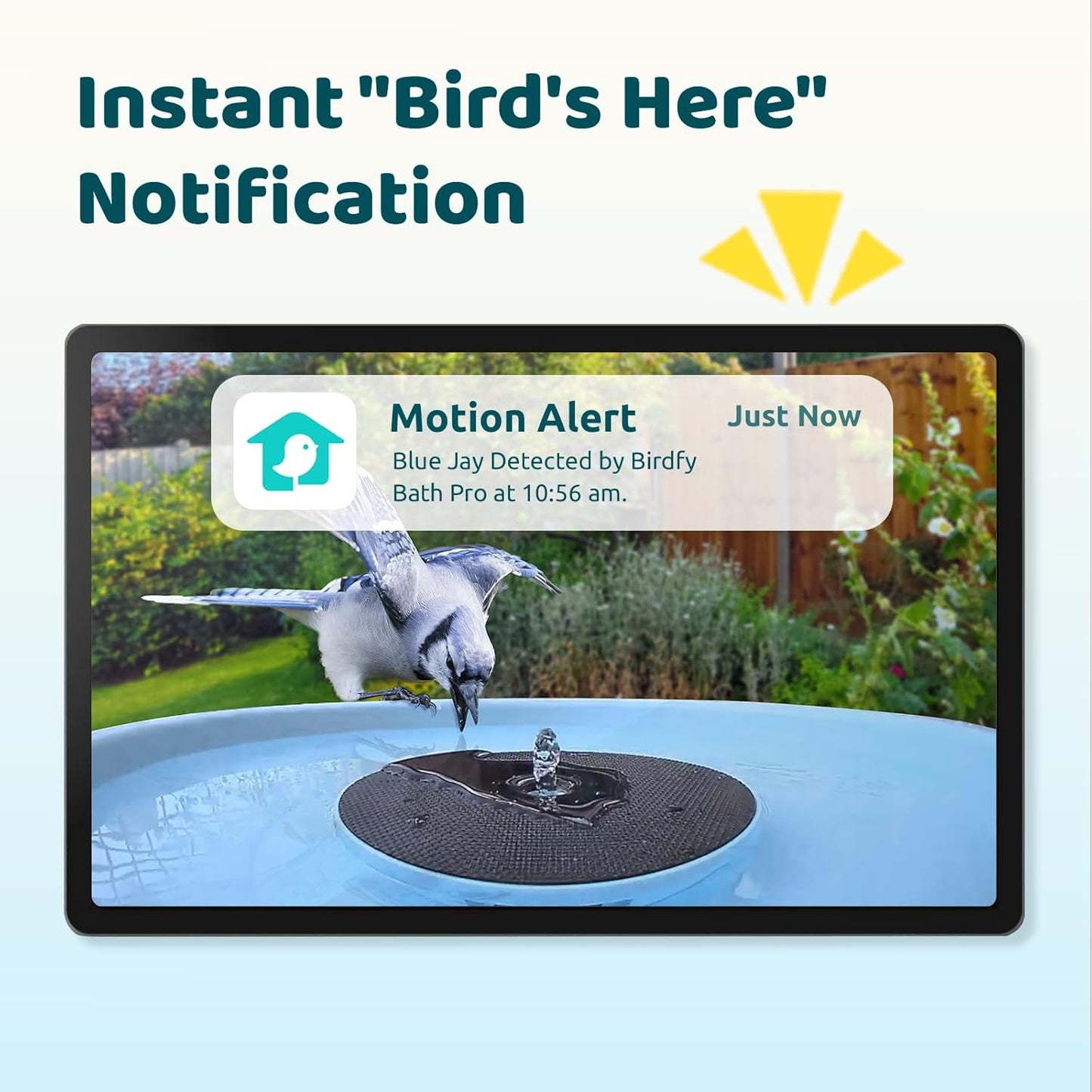 Birdfy Smart Bird Bath with Camera Solar Powered & Fountain & Stand, Dual-Lens Camera for Wildbird Watching, Auto Capture Bird Videos & Motion Detection (AI Lifetime)