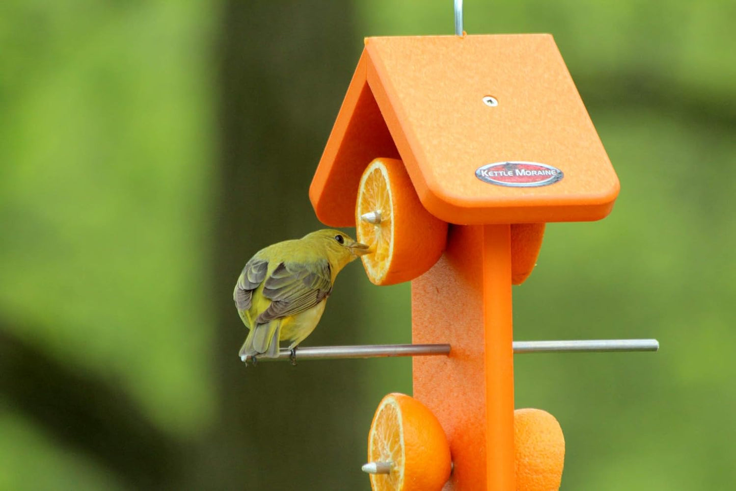 Kettle Moraine Recycled Double Oriole Orange Fruit Feeder