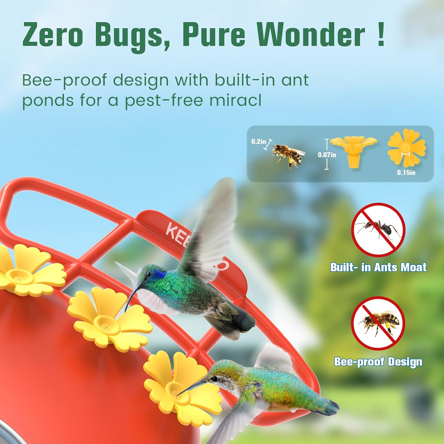 2.5K Hummingbird Feeder with Camera, Wireless Smart Bird Feeders for O