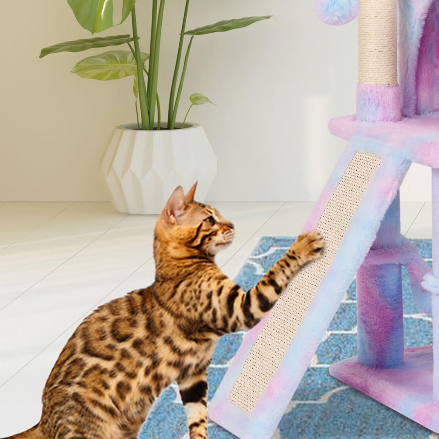 MIAO PAW Rainbow Cute Cat Tree for Indoor Cat Tower with Scratching Po