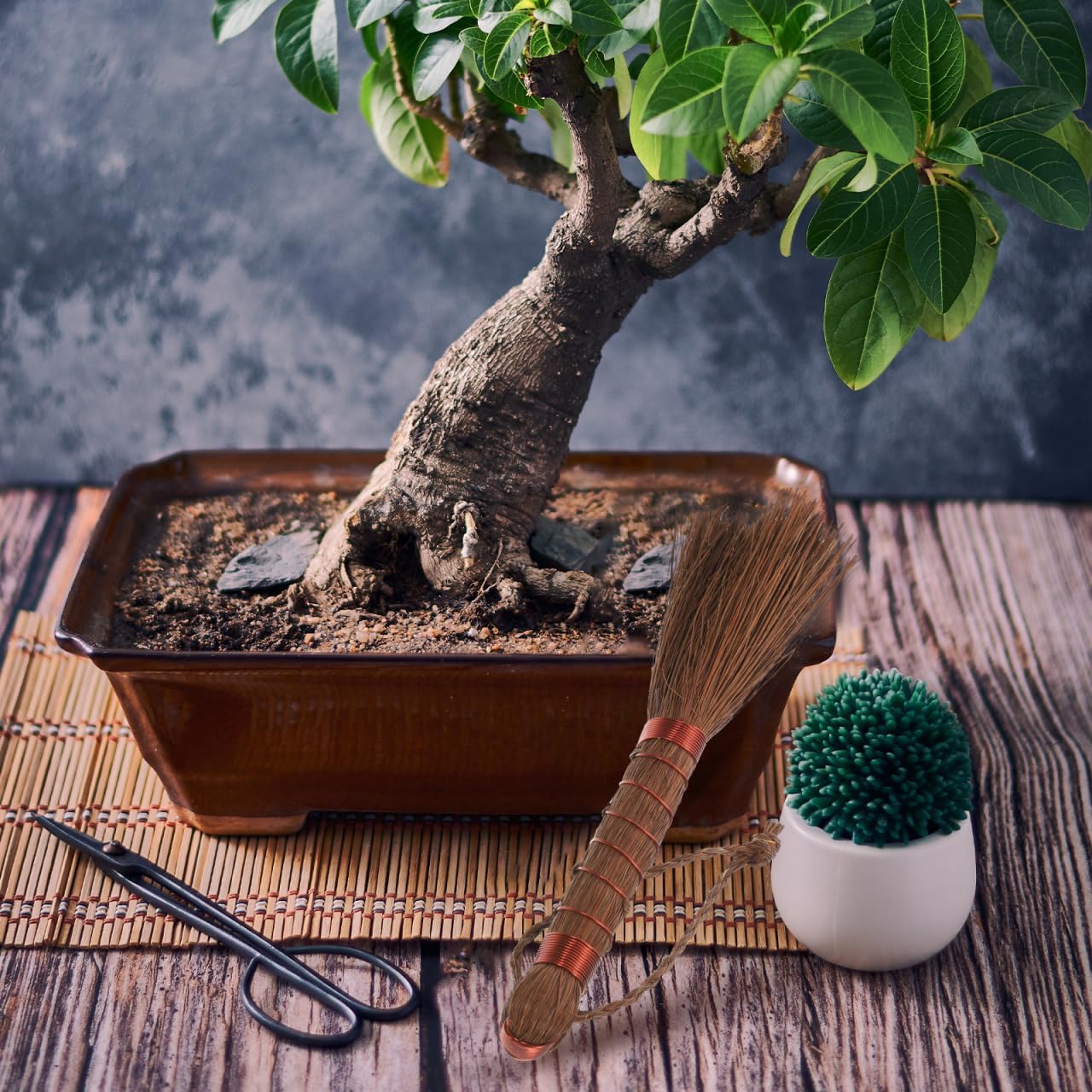 Bonsai Brush Handheld Gardening Brush Palm Fiber Cleaning for Planter Washing Indoor Outdoor Garden Care 5.31X1.18 Inch