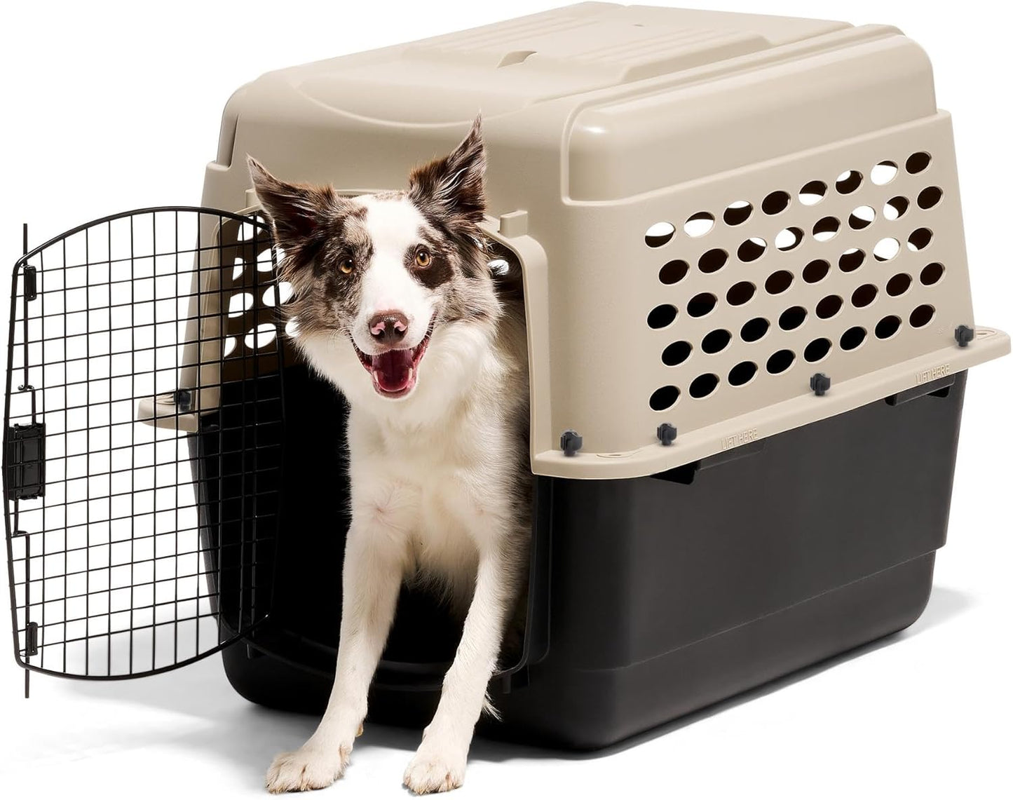 Petmate Vari Dog Kennel - Portable Dog Carriers & Crates for Medium Do