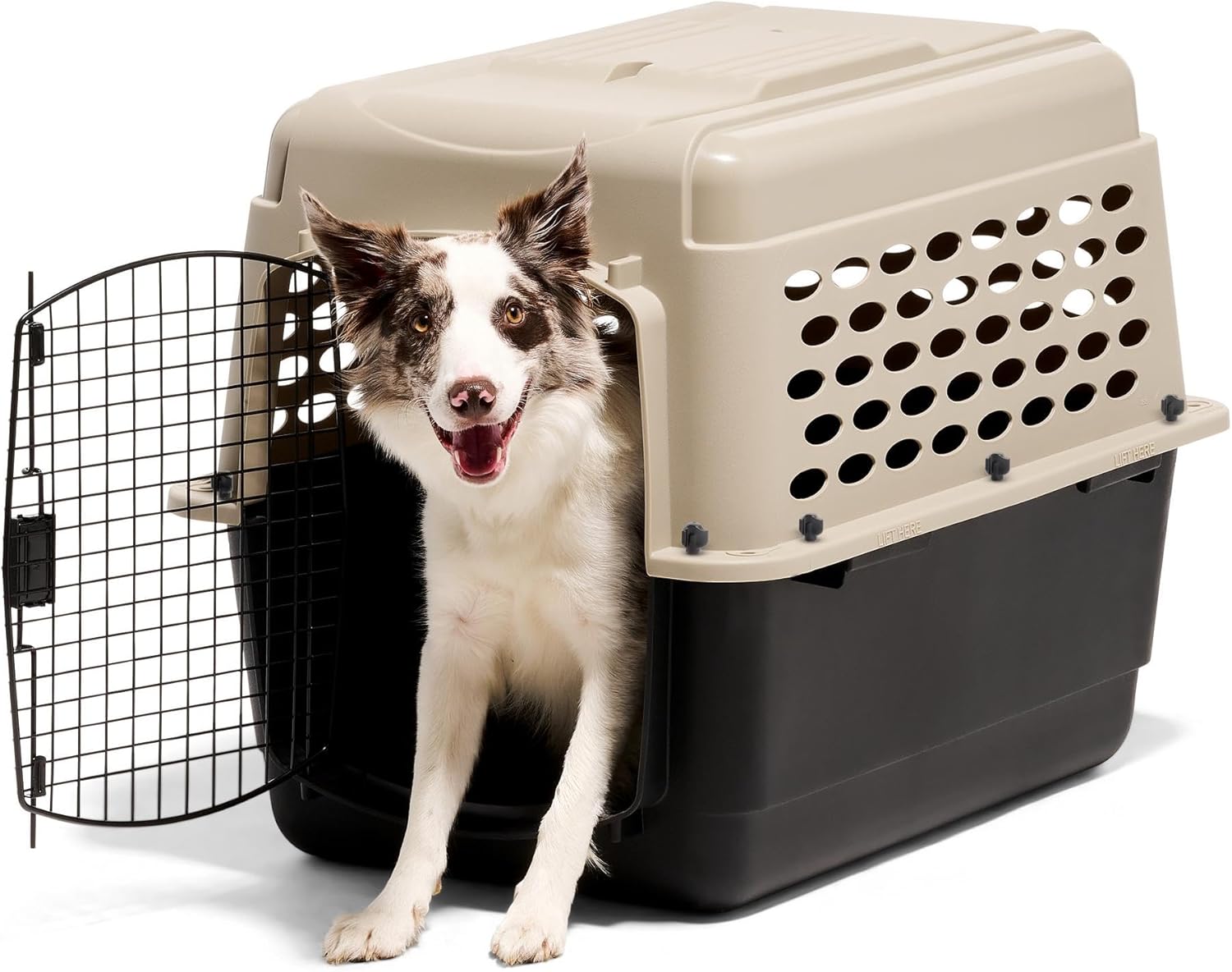 Petmate Vari Dog Kennel - Portable Dog Carriers & Crates for Medium Do