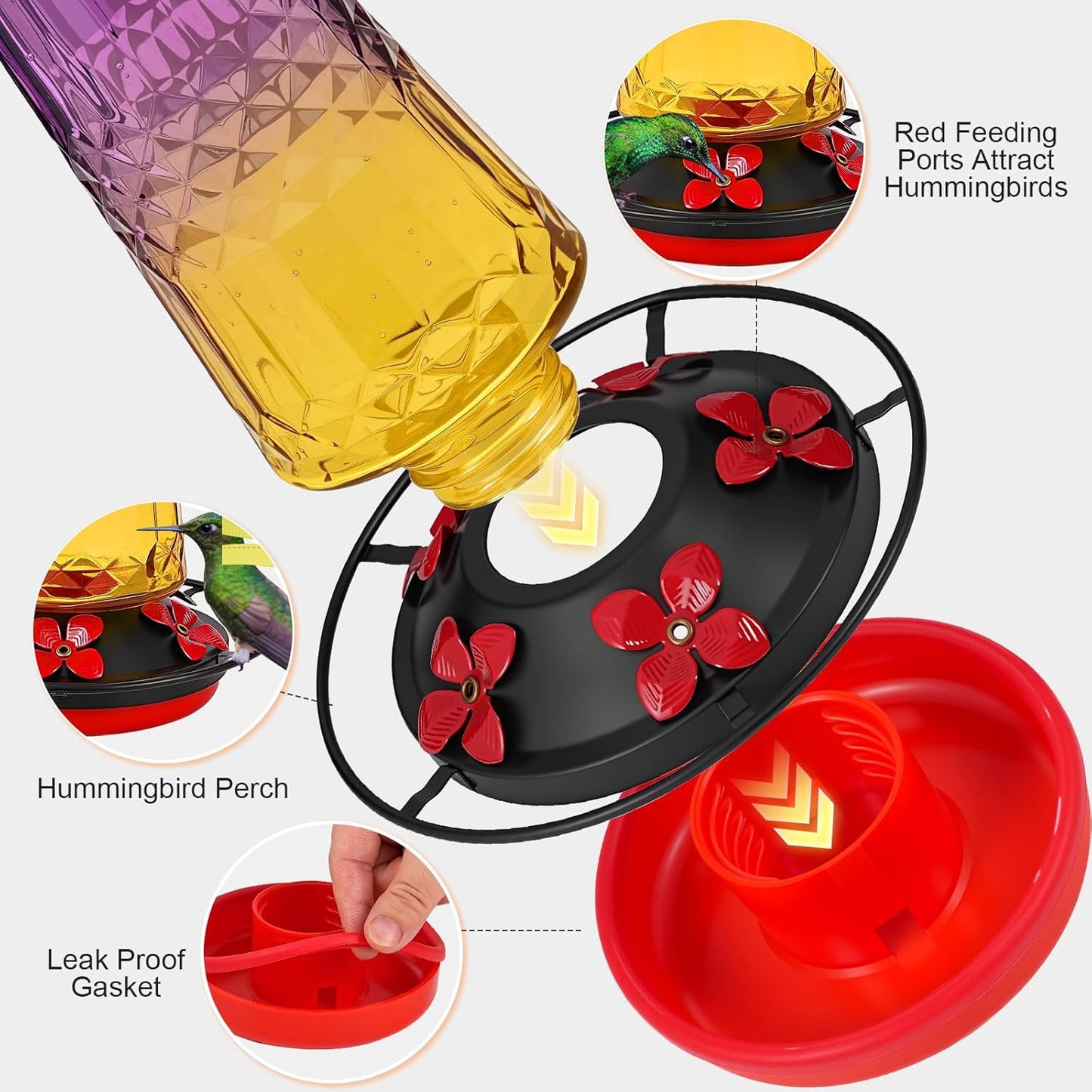 Hummingbird Feeders for Outdoors Hanging, Glass Nectar Feeder with Ant Moat and 5 Bee Guard Feeding Ports, Leak Proof, 21 Ounces, Red (Purple)