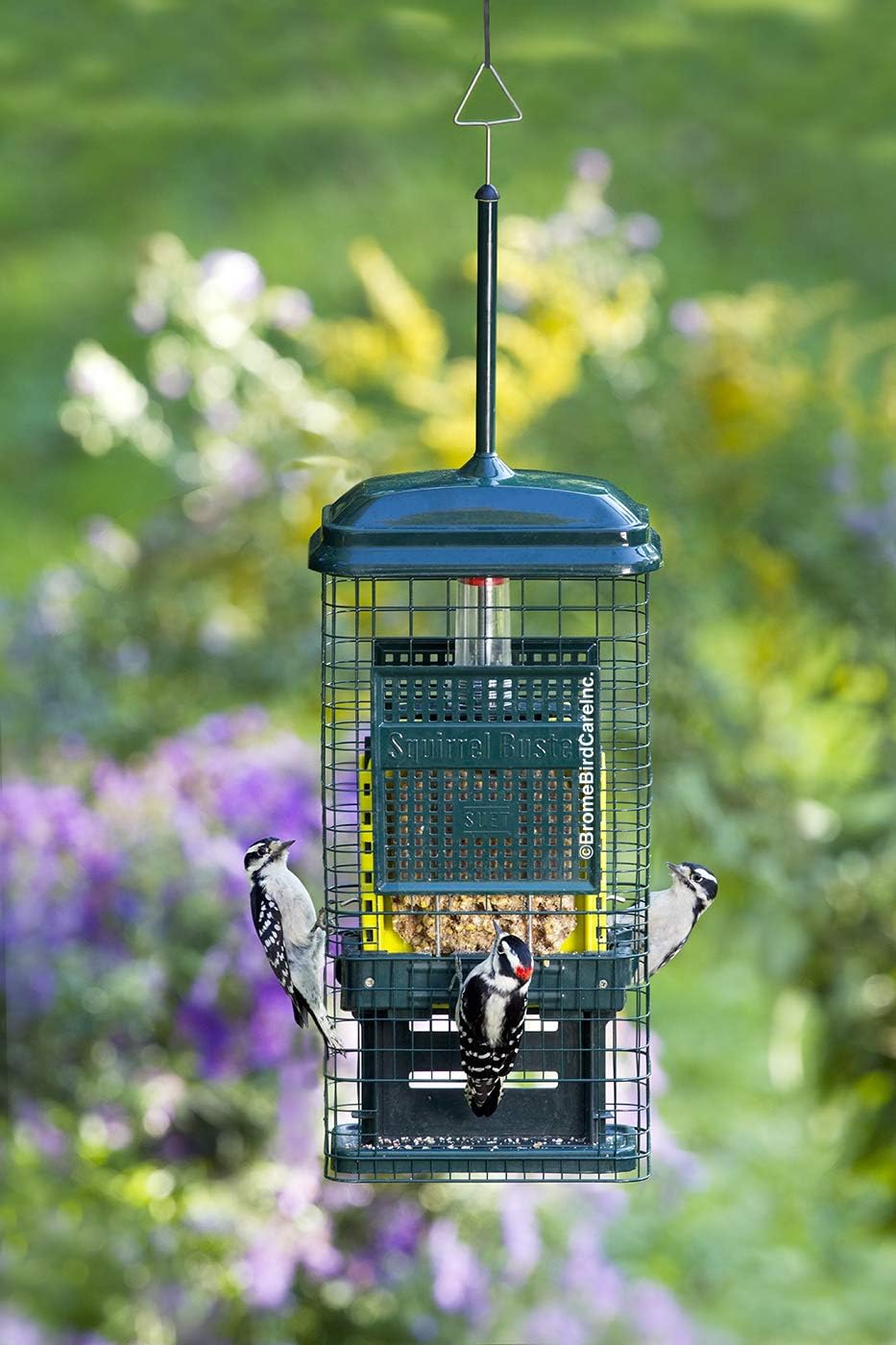 Squirrel Buster Squirrel-Proof Bird Feeder w/2 Suet Cake Trays, 2 Crumb Ports, Mess-Free Suet Loading, Green & Nut Feeder for Nuts and Fruit, Two Meshes