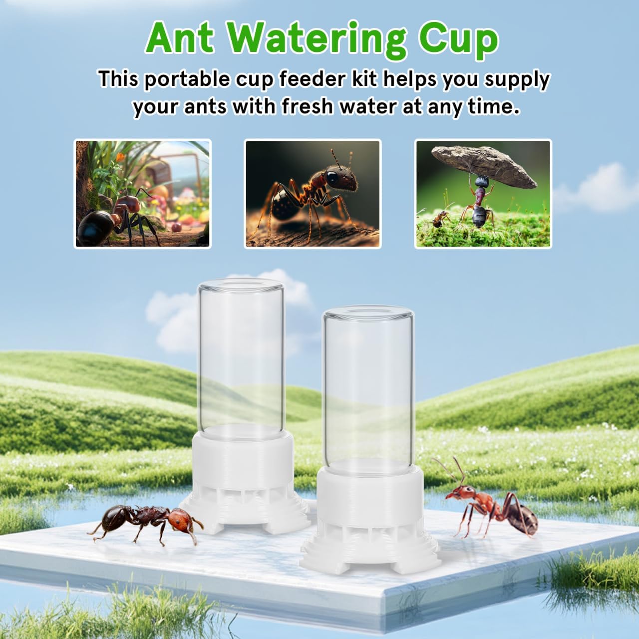 Yardwe Ant Water Feeder Portable 0.17Oz Liquid Feeding Cup for Ant Nest Easy Operation Watering Station for Keeping and Habitat Maintenance