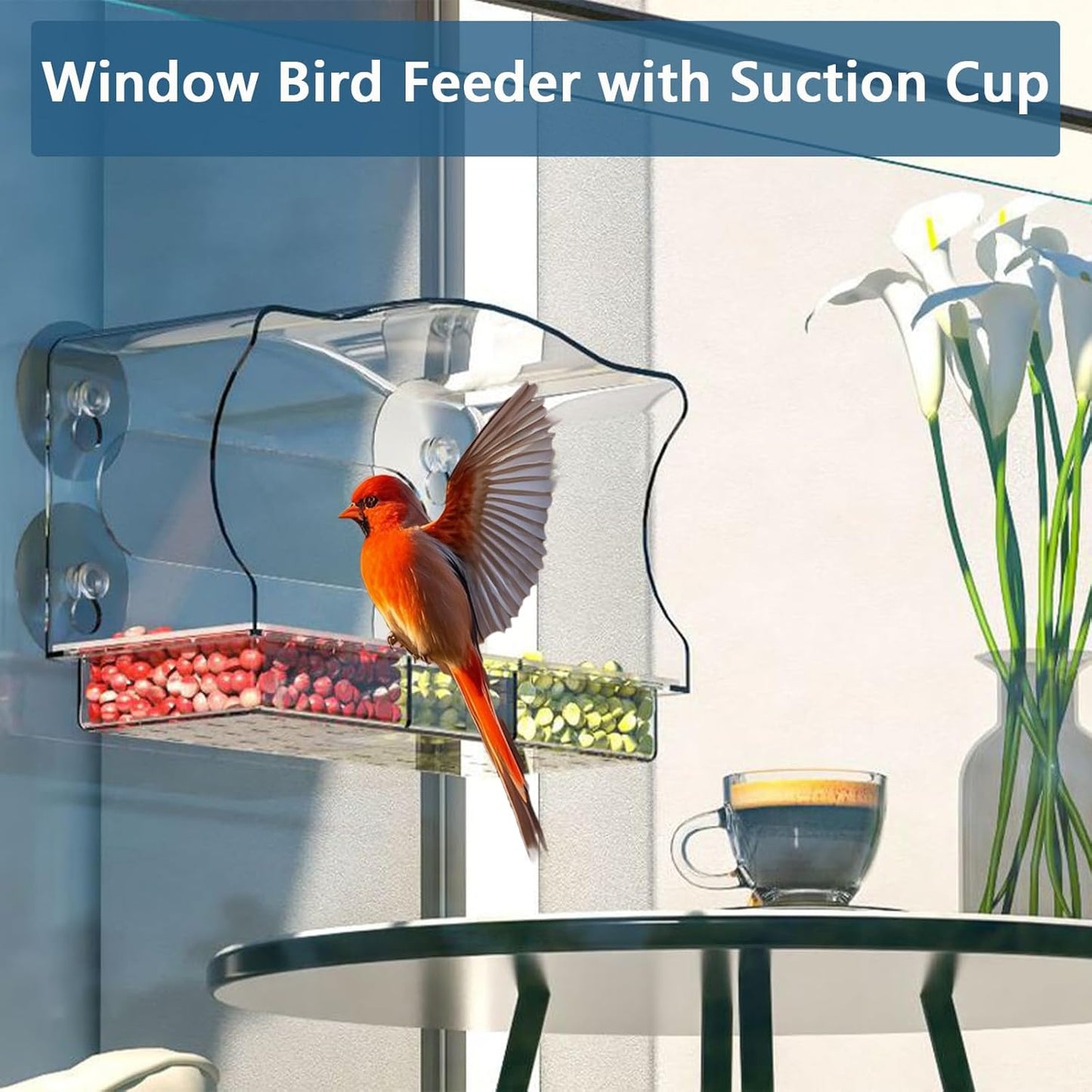 Window Bird Feeder Viewing Box - 10x6 Inches Acrylic Window Bird Feeder with 4 Strong Suction Cups, 3 Compartment Trays, Clear Birdfeeder with Enhanced Grip, Watching Cardinal for Cat