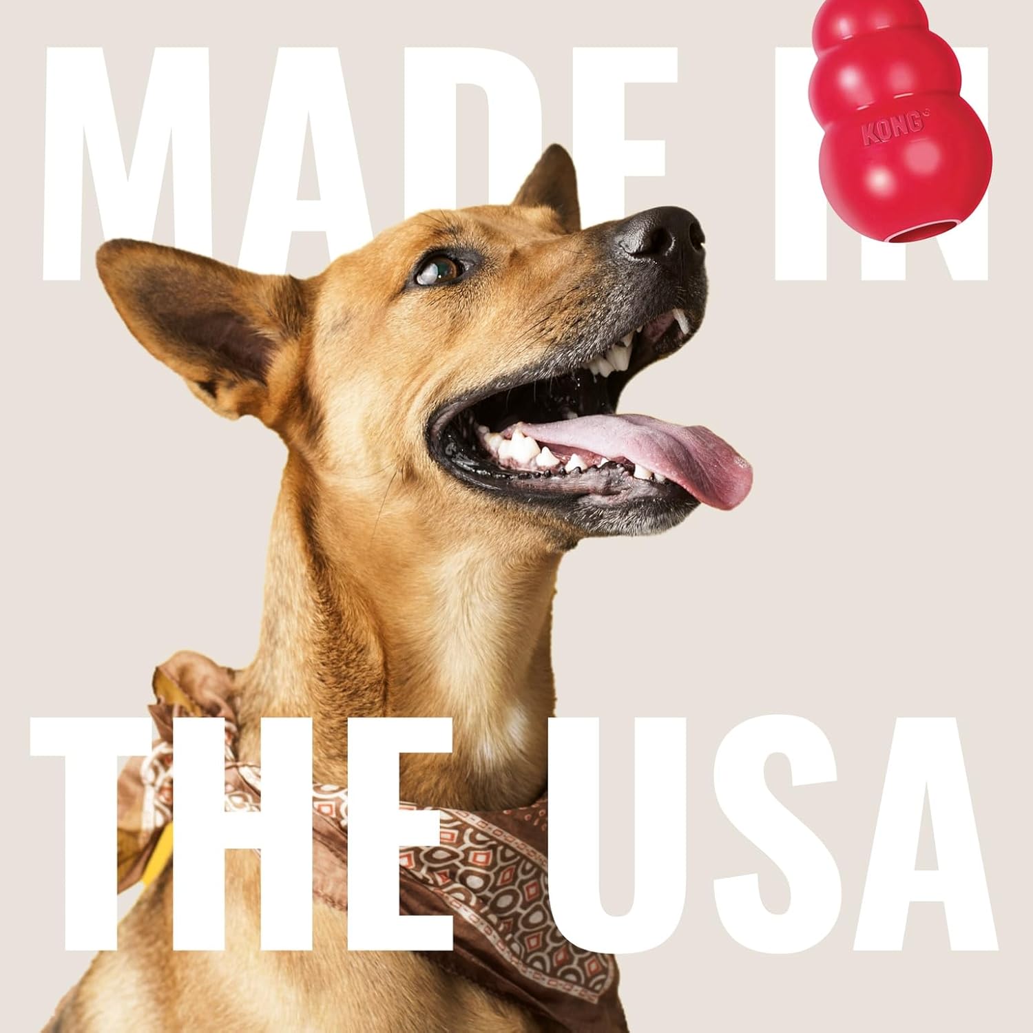 KONG Ring - Natural Rubber Ring Toy for Healthy Chewing Habits - Chew 