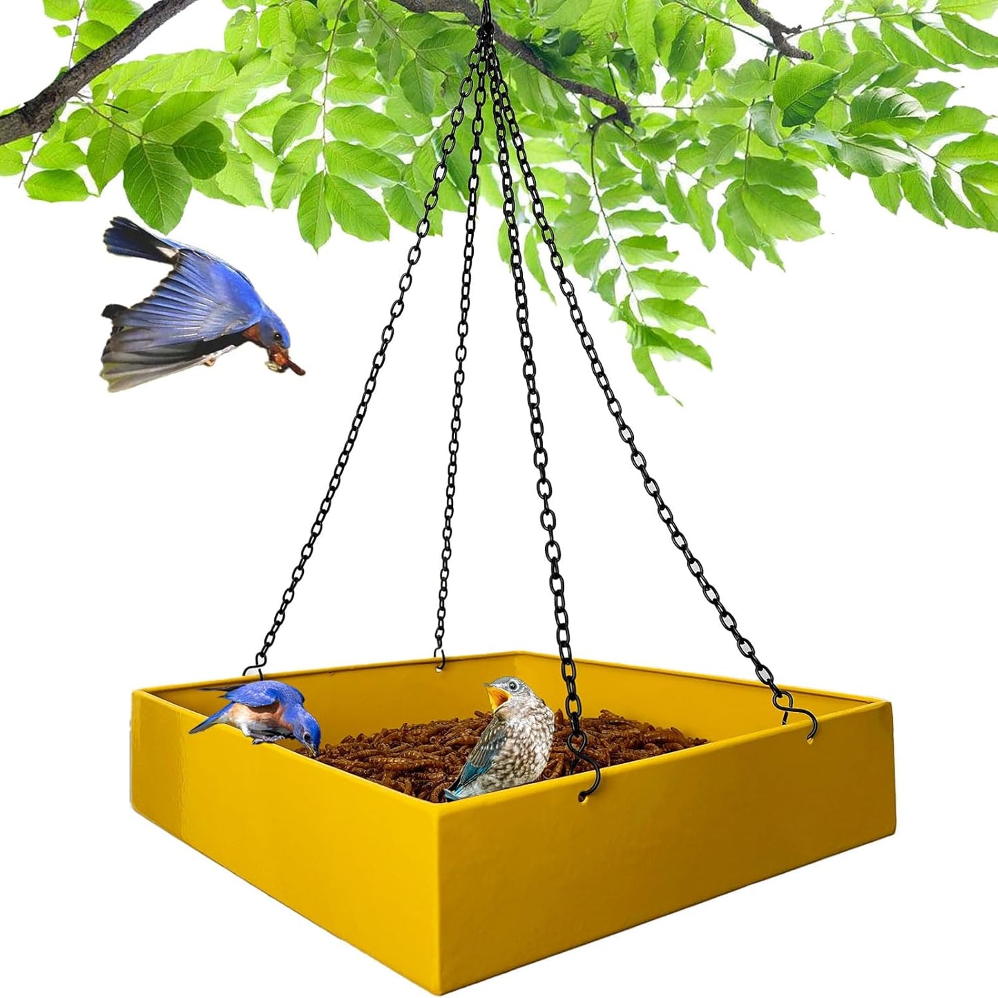 Bird Feeders for Outdoors, Platform Bird Feeder for Outside, Large Capacity 3.5 lbs