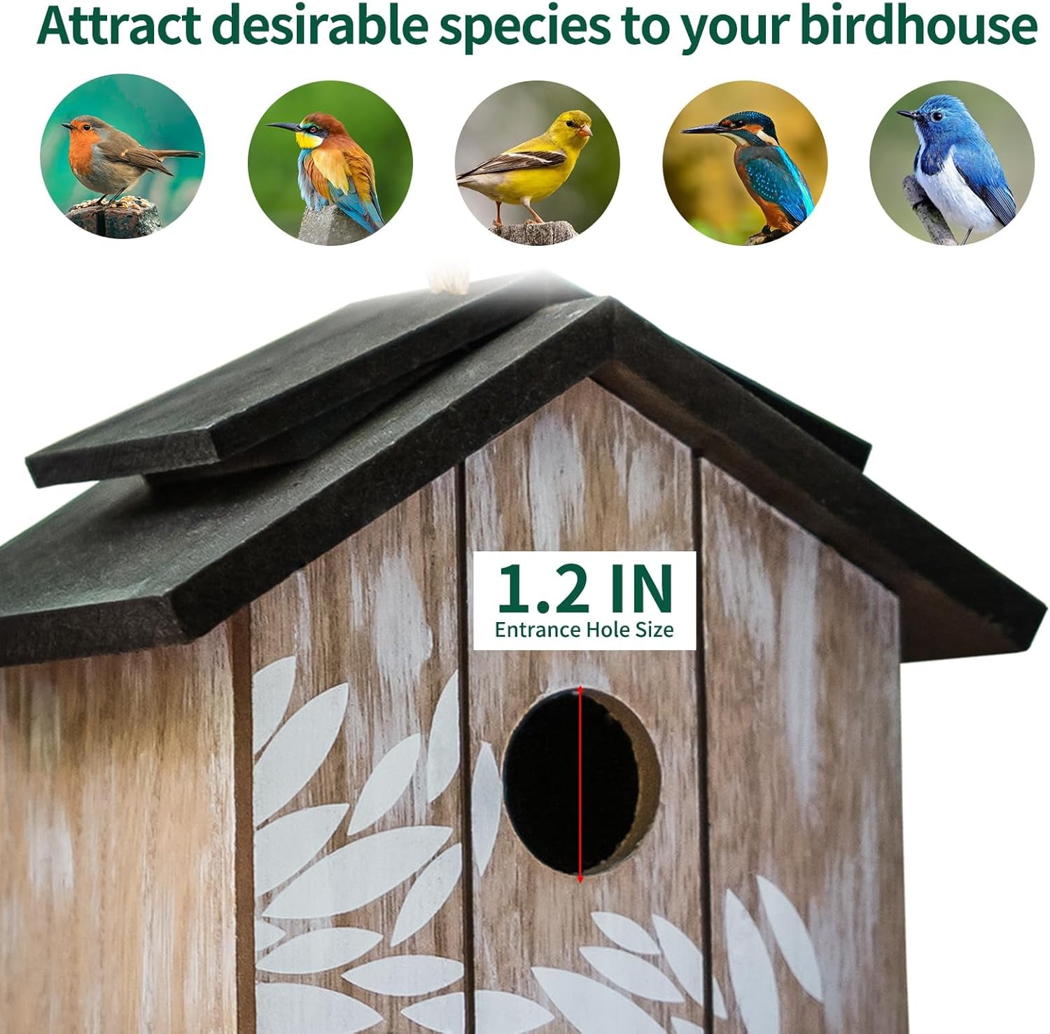 Topadorn Wooden Bird house Hanging Outdoor,Eco Friendly Materials and 