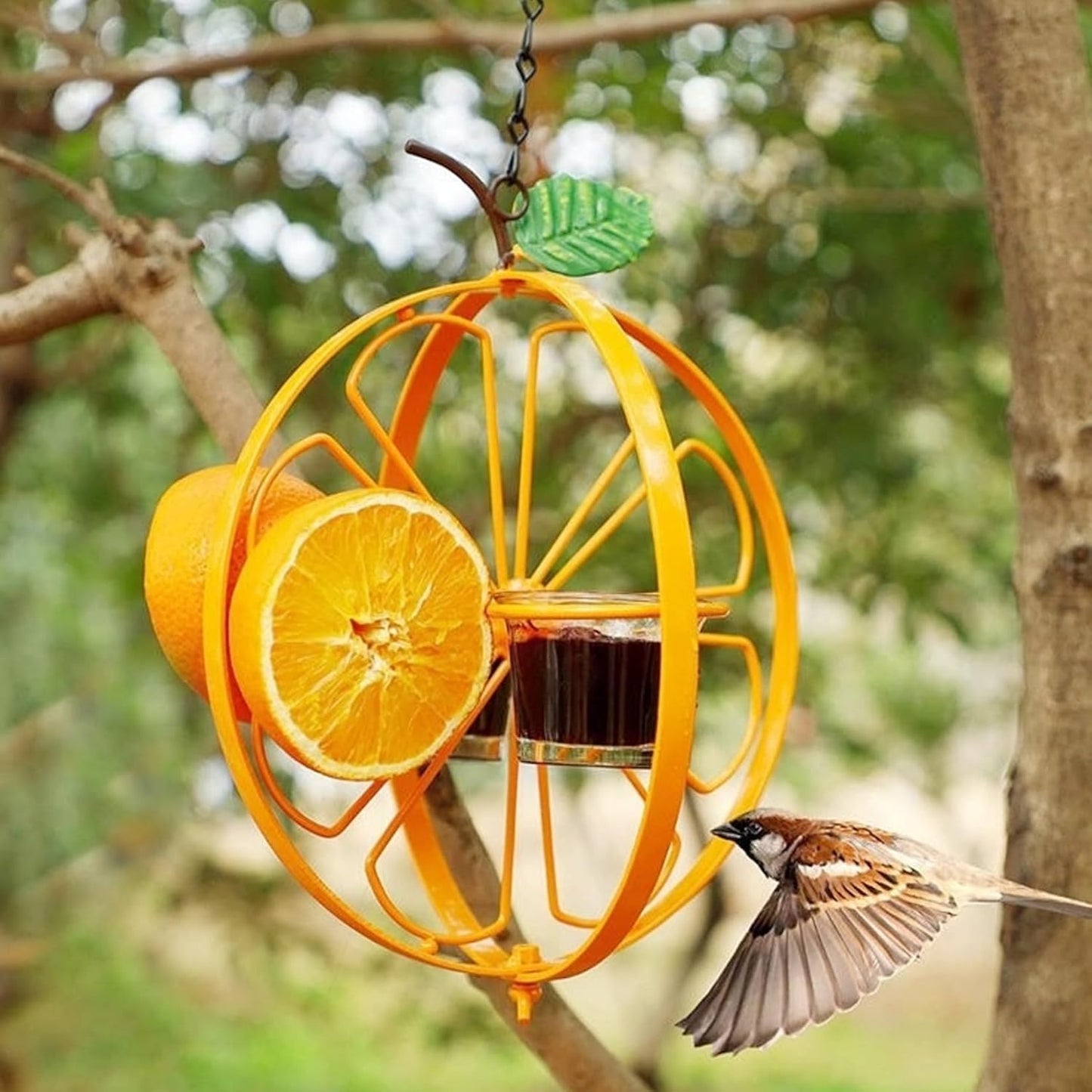 Oriole Feeder for Jelly and Oranges, 21.3 Inch Double-Cup Oriole Jelly Feeder, Metal Oriole Bird Feeder, Hanging Jelly Bird Feeder for Garden Outdoors, Oriole Bird Feeder