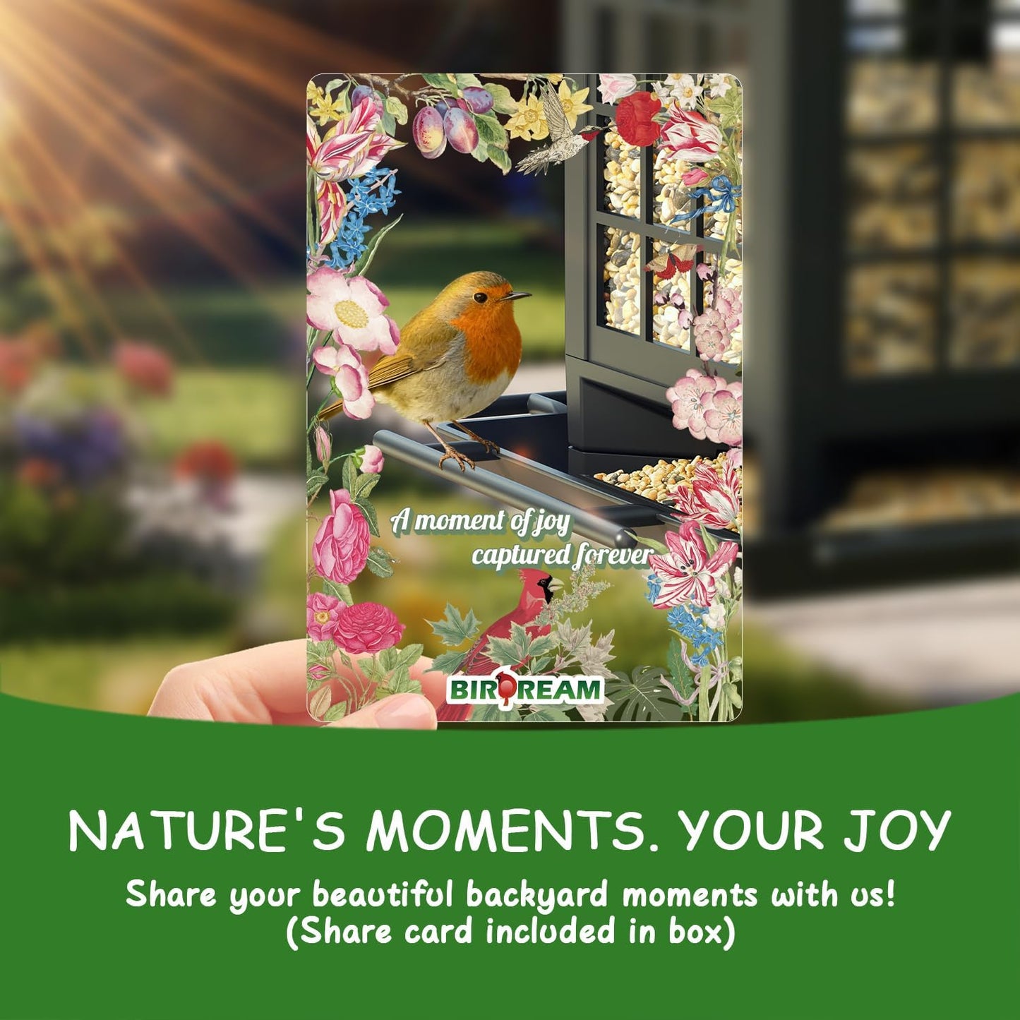 Birdream 2 Pack Bird Feeders for Outdoor Hanging, Assembly Required, 1