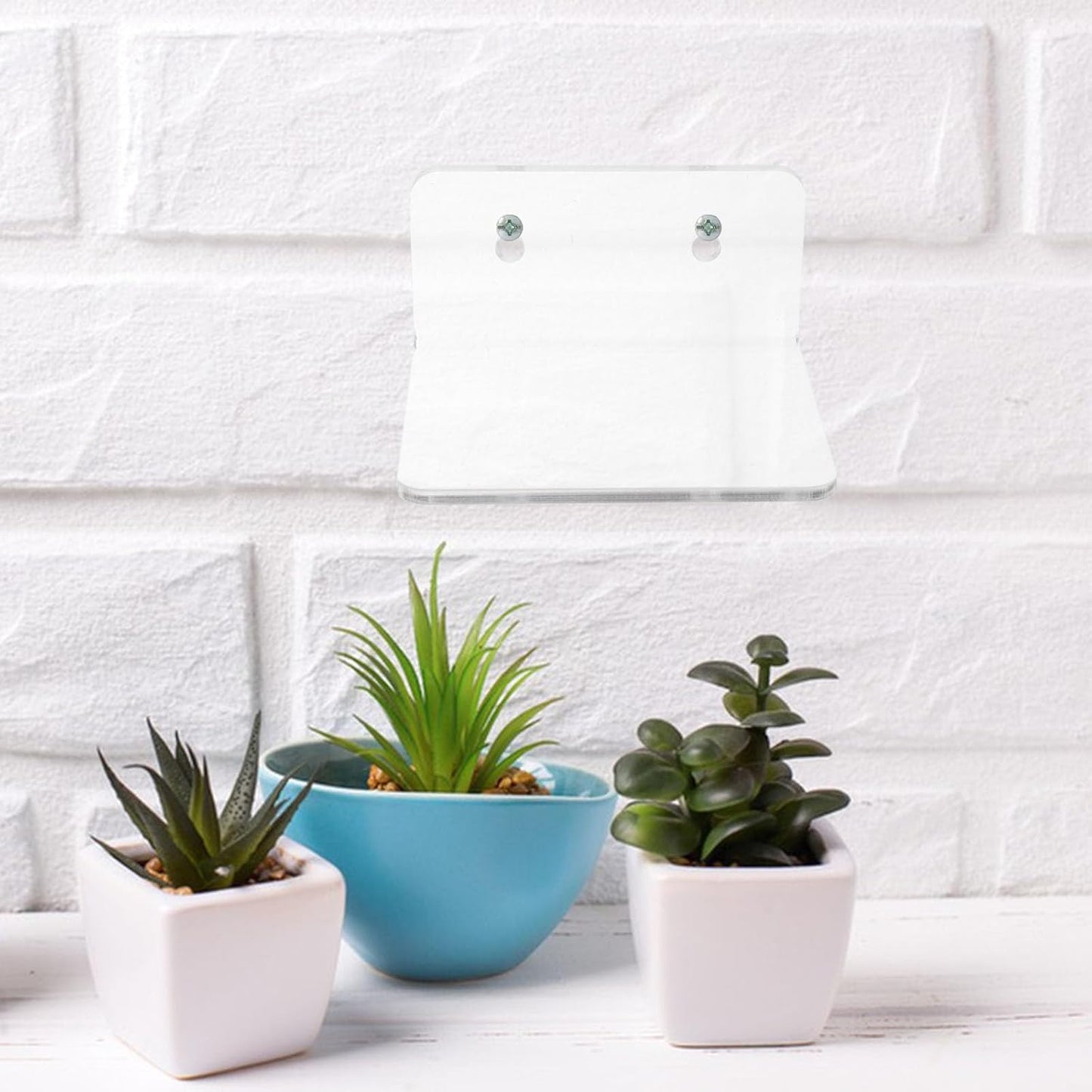 Wall Planter Display Rack Acrylic Floating Shelf Adhesive Small Window