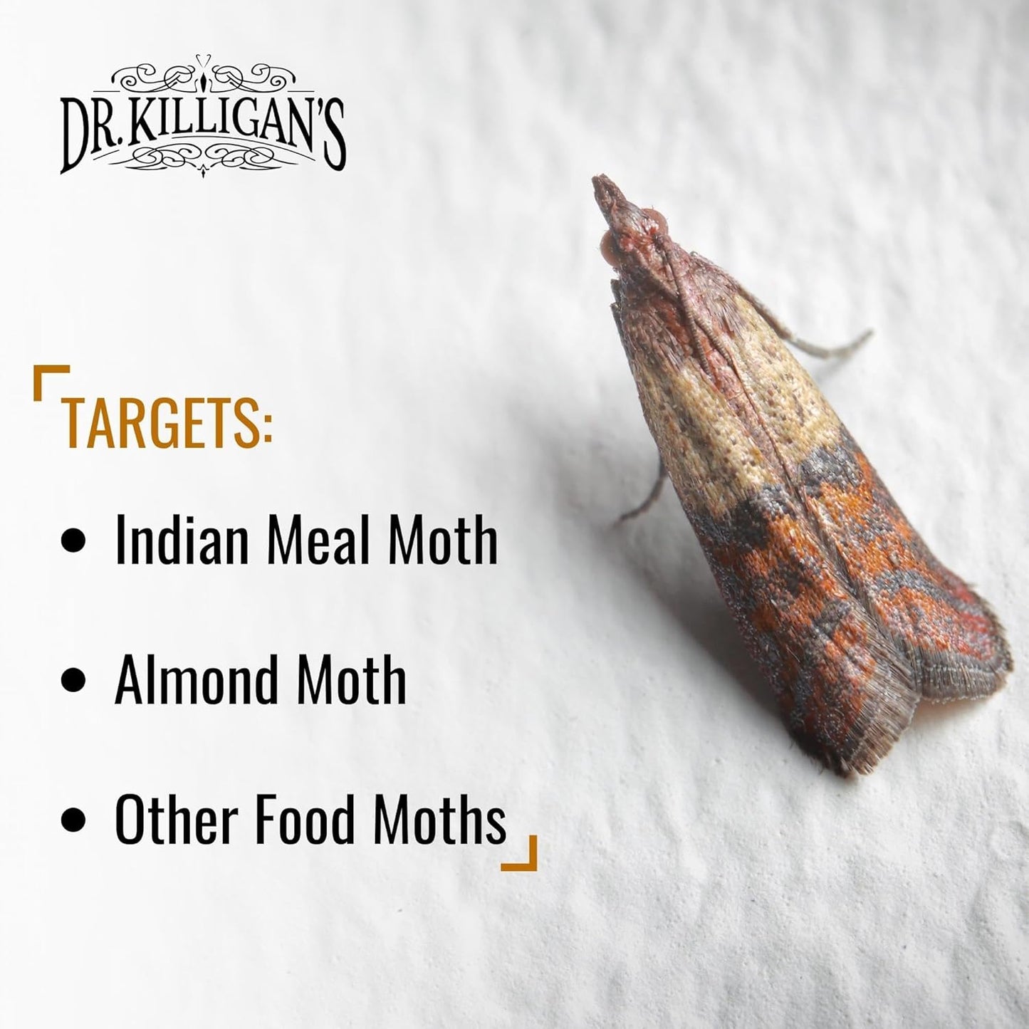 Dr. Killigan's Premium Double Potent Pantry Moth Traps with Pheromones
