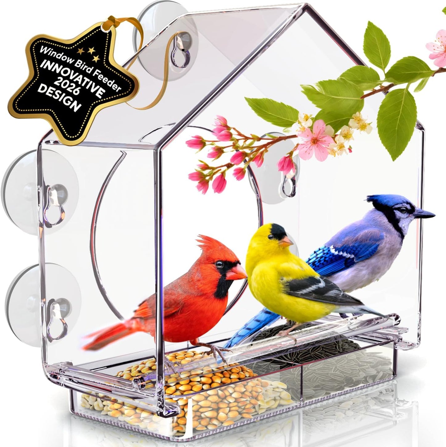 Premium Window Bird Feeder for Outside - Clear Bird House w/Largest Window for Viewing Birds - Easy to Install & Sturdy Feeder w/Extra Strong Suction Cups - Perfect for Kids, Adults and Cats