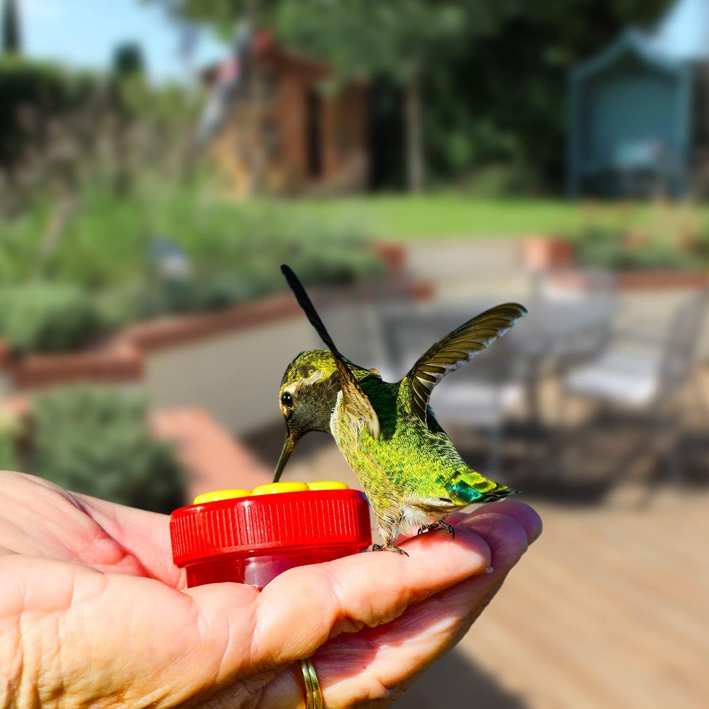 Hand Hummingbird Feeder, 4Pcs Mini Flower Hand Held Hummingbird Feeder