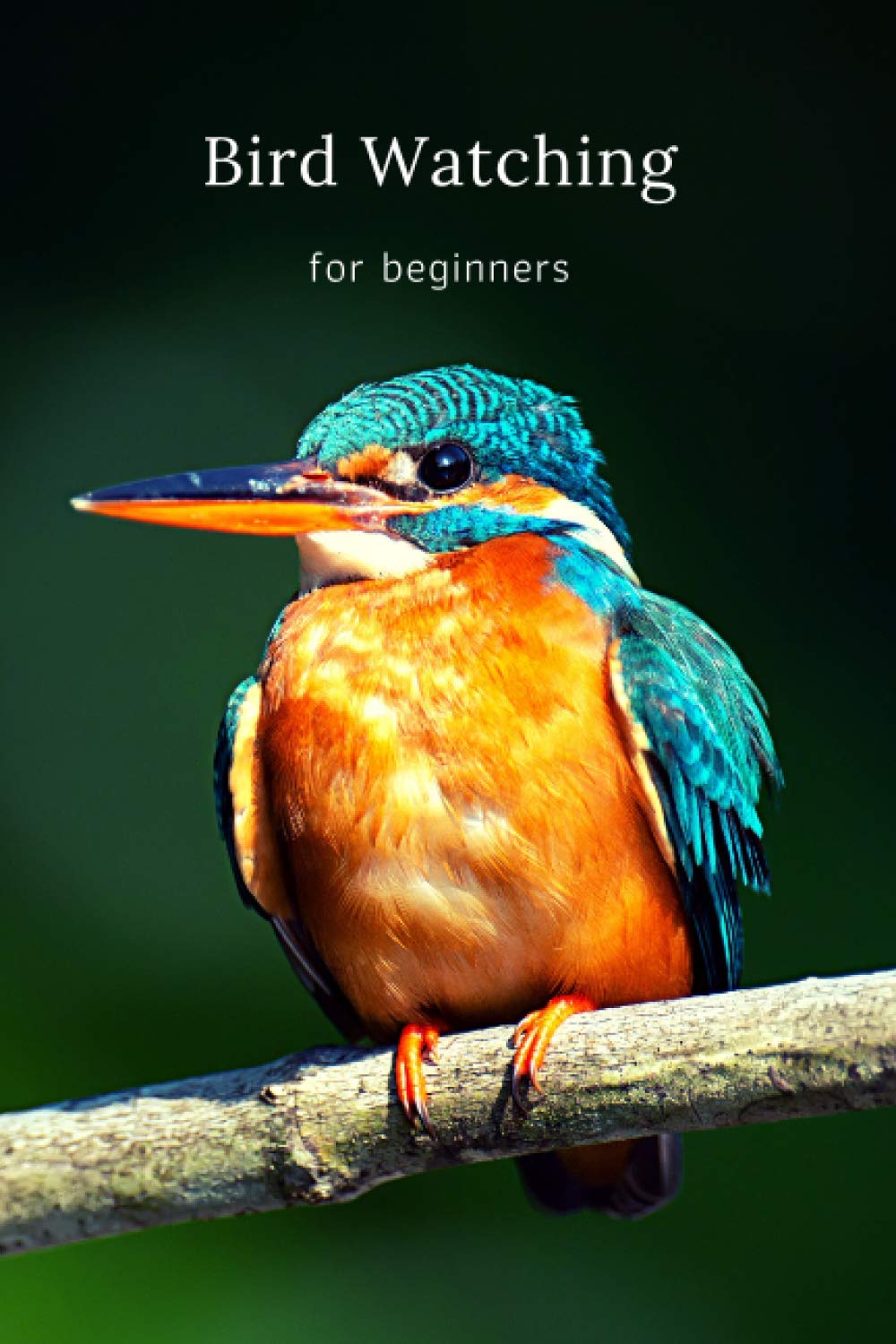 Bird Watching for beginners: Bird Watching Lovers, Birdwatchers Notebook - For Recording Bird Sightings, Birders Journal full of details (Species, Behaviors, Habitat and much more)