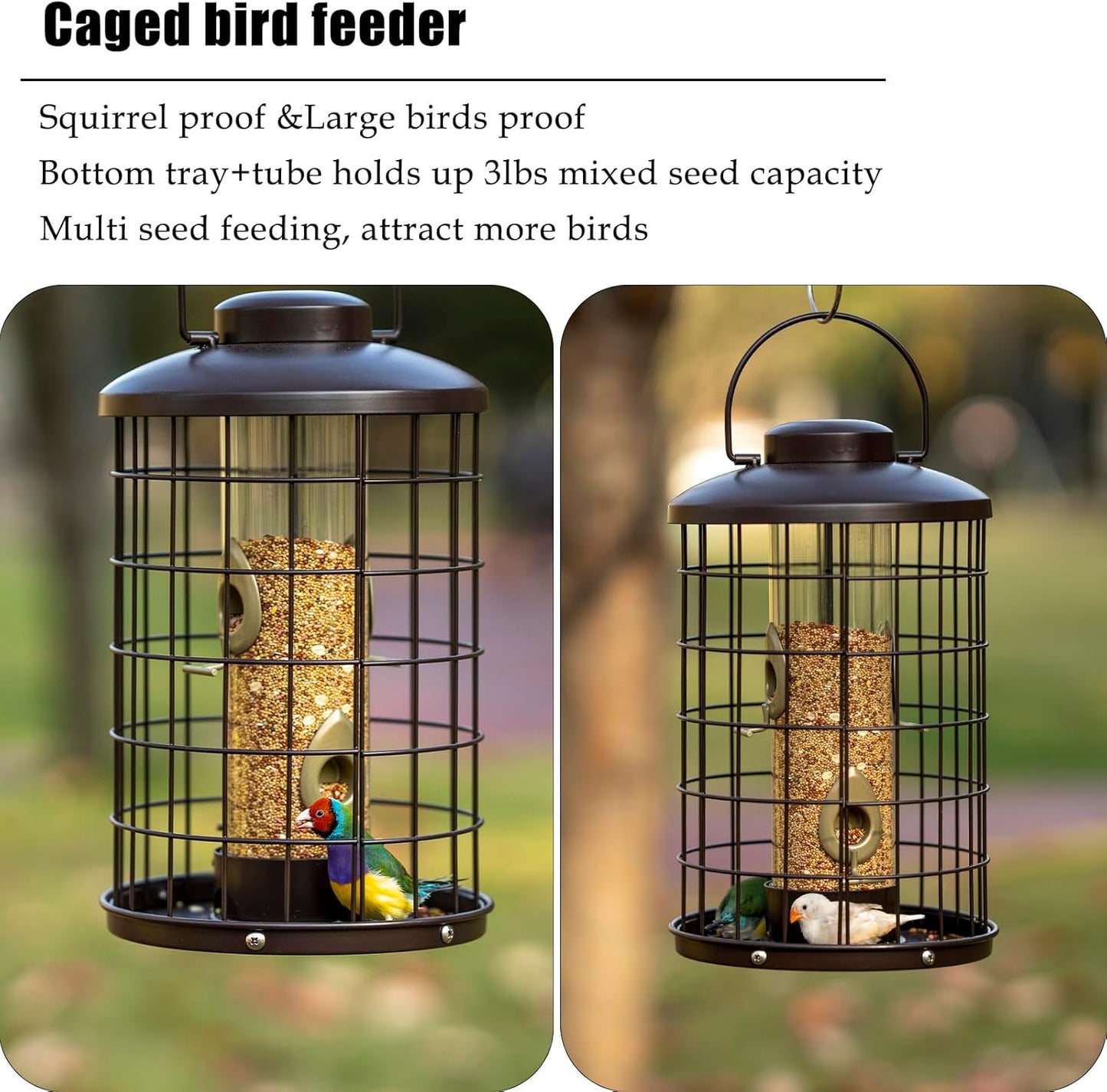 Caged Bird Feeders Metal - 3 Lbs - Squirrel-Proof Wild Bird Feeders, C