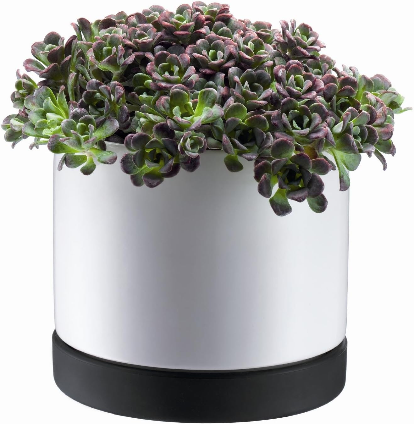 BODUM Large Flower Pot, Conical Shape, Dia 8.3 by 7.3-Inch, White Ston